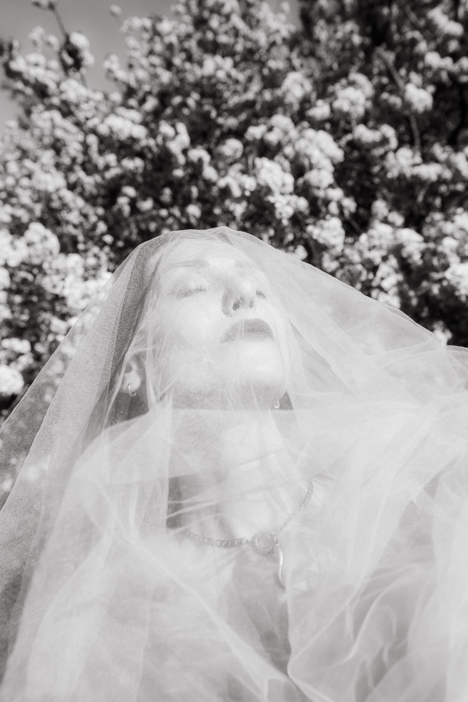 High-concept bridal fashion shoot in Paris, model veiled in tulle with blooming white flowers behind her. Photography by Studio Reverie.