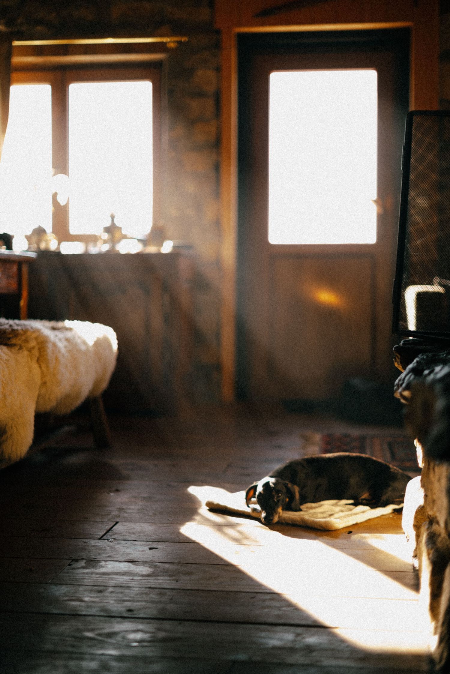 Cosy French Alps chalet interior with morning sunbeams and a sleeping dog, styled for editorial content creation.