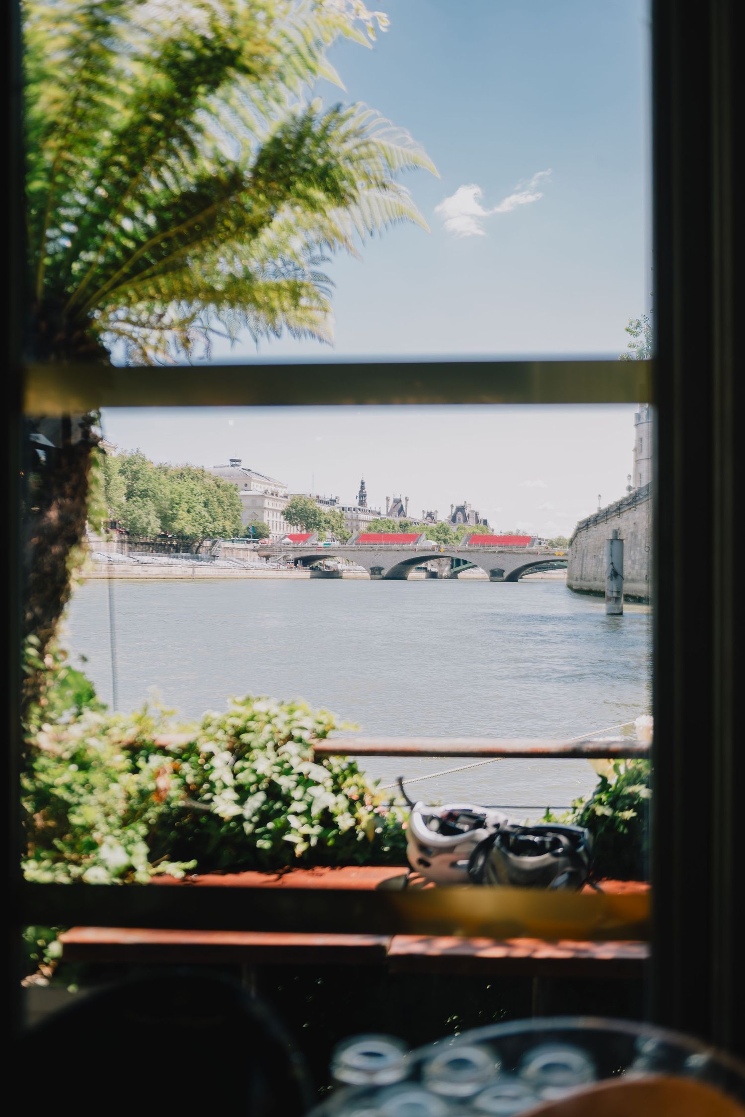 View of a waterfront and bridge through a window with palm fronds visible in the foreground.