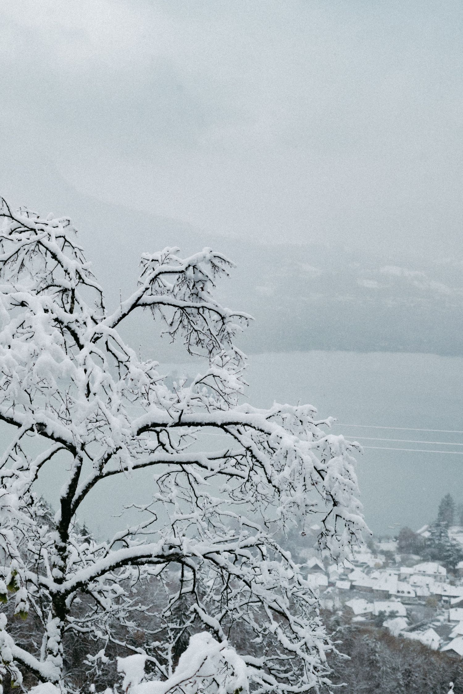 Winter travel photography in the French Alps with snow-covered branches overlooking a serene alpine lake.