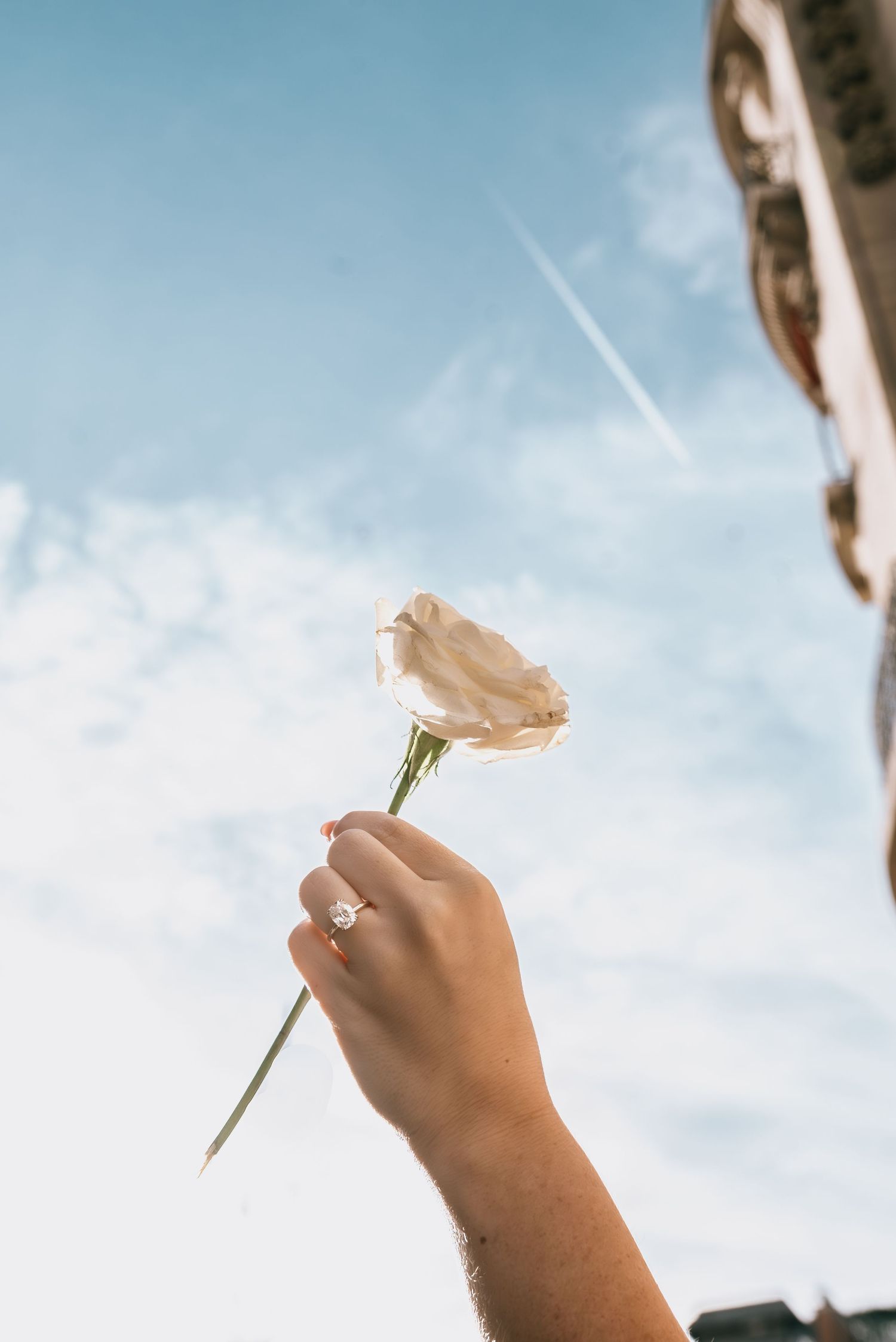 A hand with a diamond ring holds a white rose up against a bright blue sky with wispy clouds.