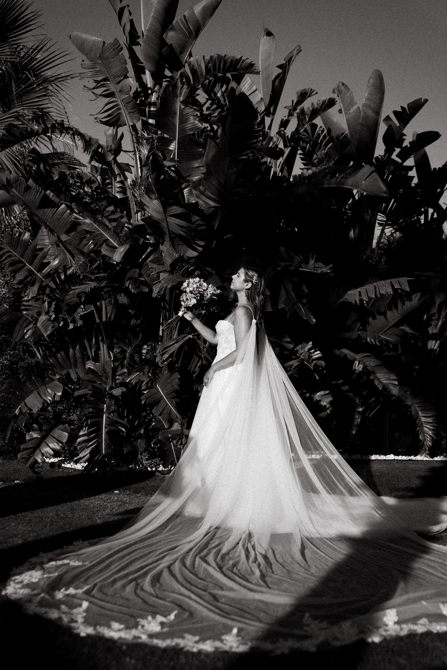 Black and white series showing dramatic train of wedding dress against tropical foliage silhouette.