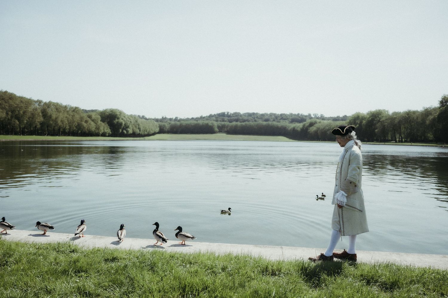 A woman in a white dress stands by a serene lake watching ducks on a sunny day with lush green trees in the background.