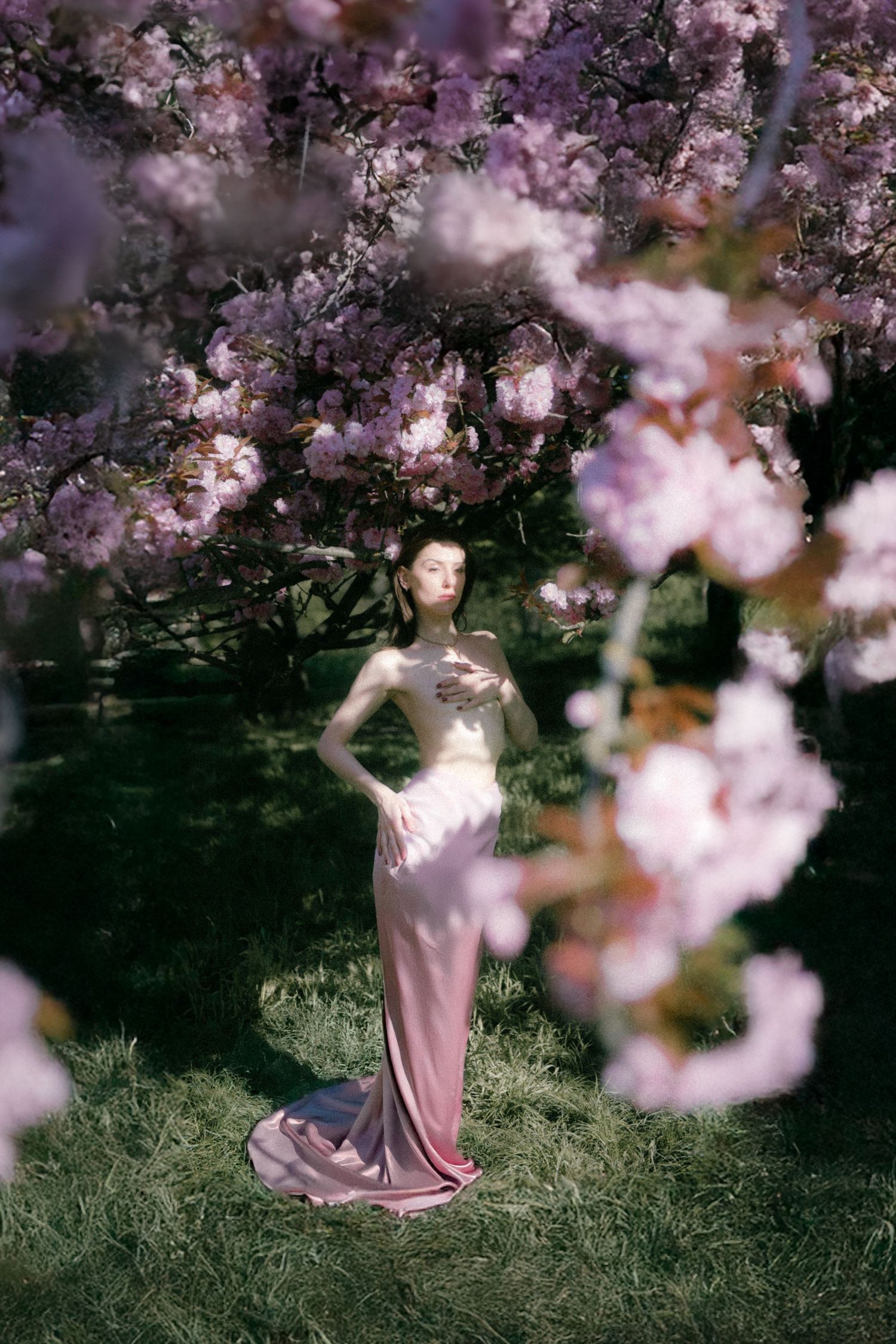 Dreamy Parisian spring editorial with pink silk skirt beneath cherry blossoms, natural light and soft focus, photography by Studio Reverie.