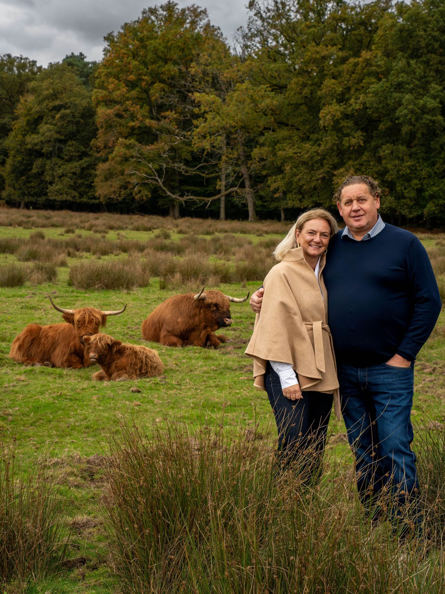 A couple stands in a grassy field with majestic Highland cattle grazing in the background on an overcast day.