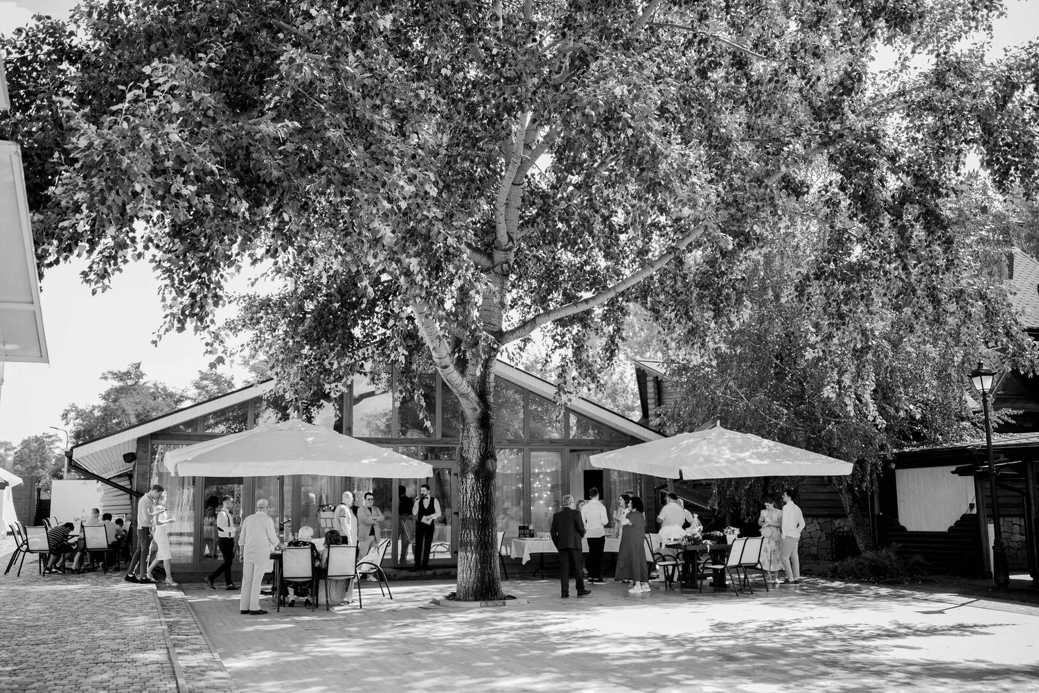 Black and white outdoor gathering under large trees with umbrella-shaded tables and guests mingling near a rustic venue.
