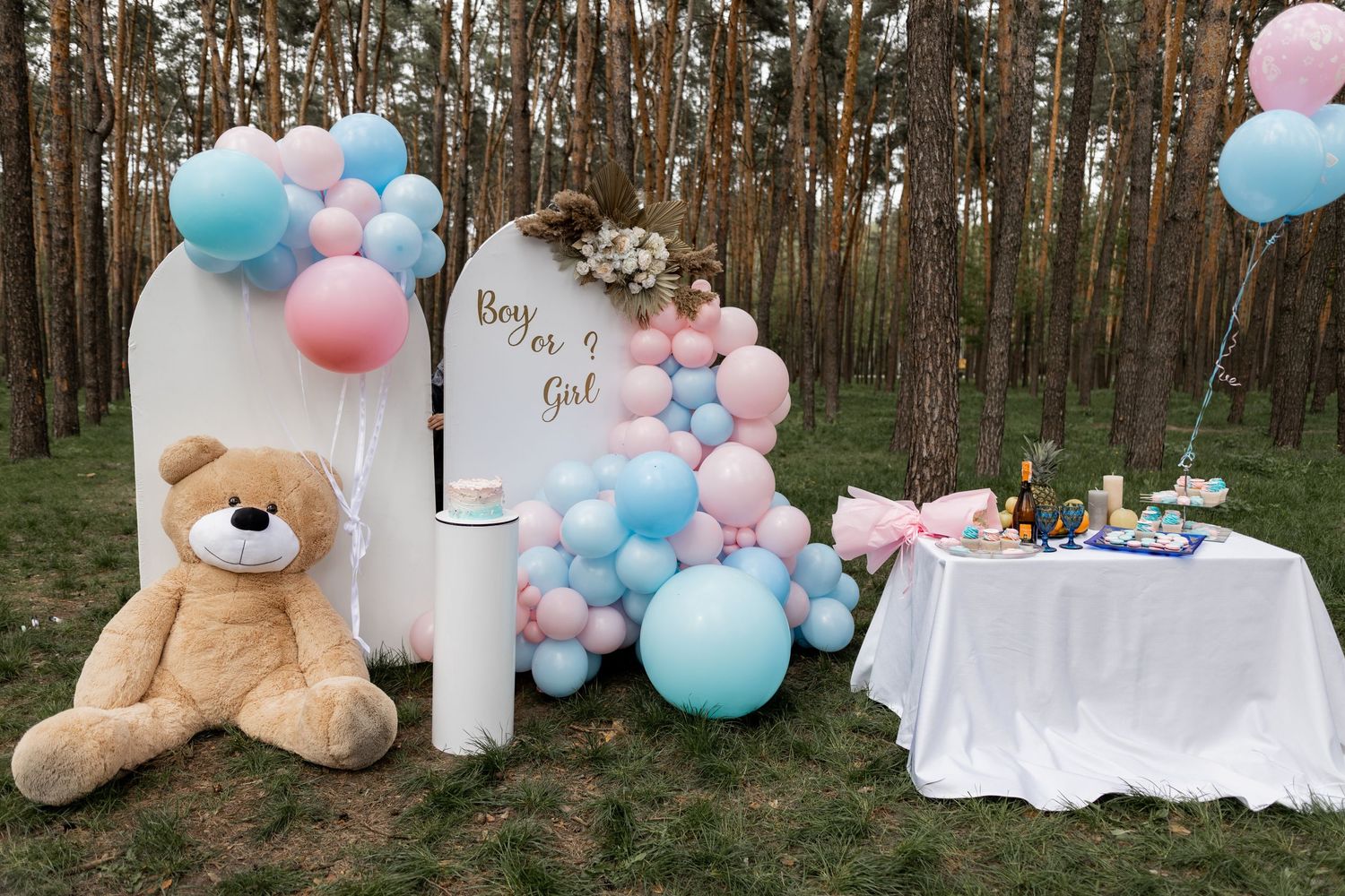 Gender reveal party setup in forest with pink and blue balloons, white decorations, and large teddy bear.