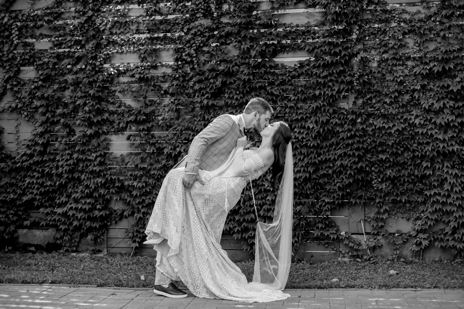 Dramatic black and white photo of bride with flowing veil against ivy-covered wall.