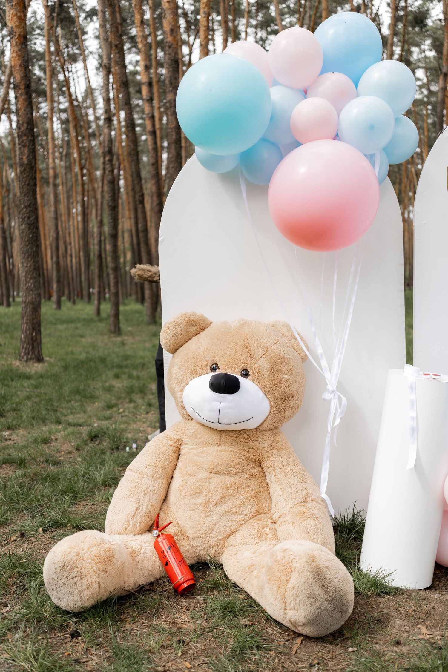A large teddy bear sits against a white backdrop with pink and blue balloons in a forest setting.