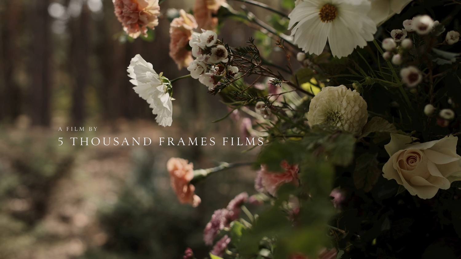 Close-up of lush floral arrangement with roses and daisies, featuring 5 Thousand Frames Films text overlay.