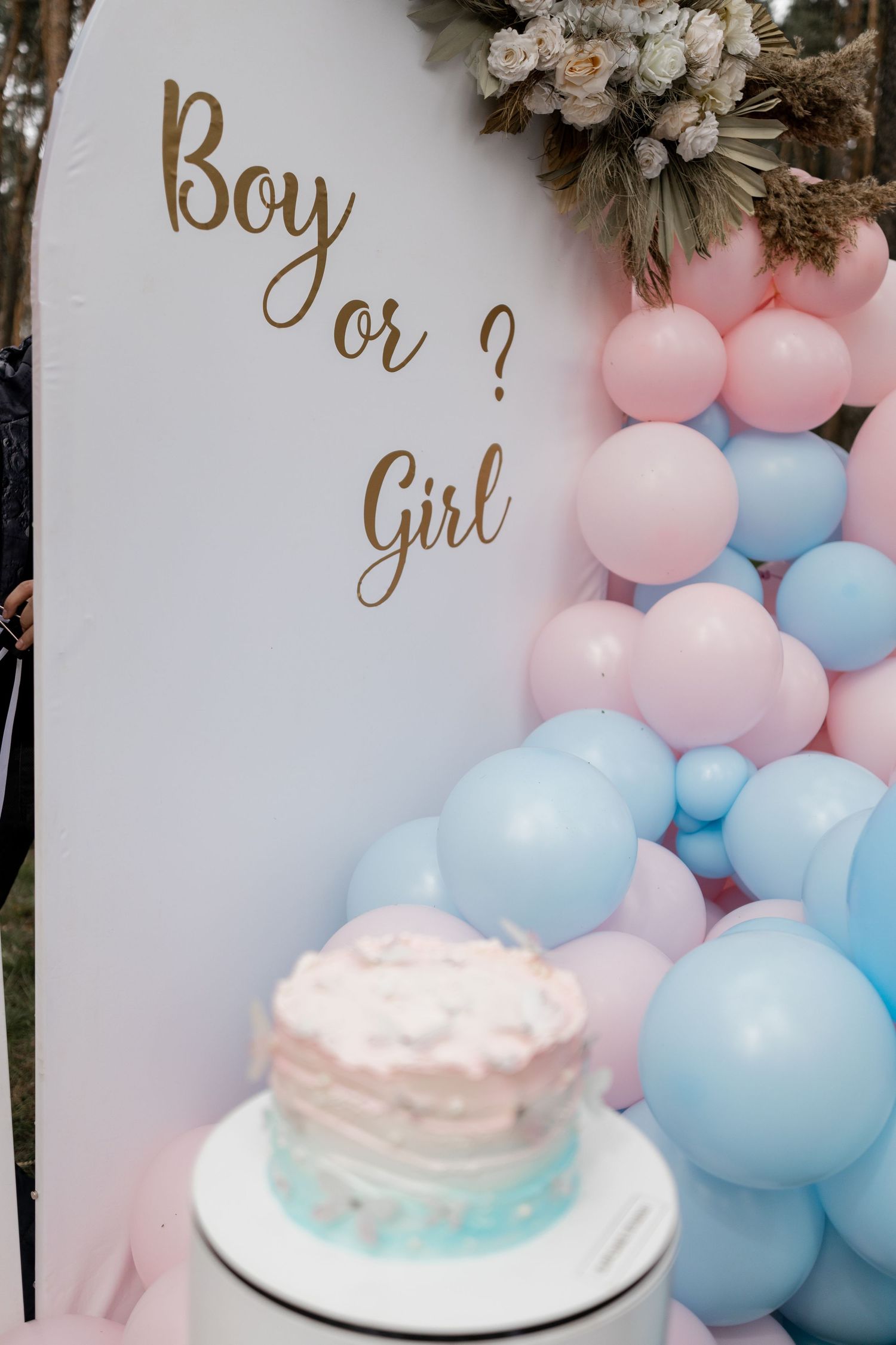 A gender reveal party backdrop with 'Boy or Girl' text and pink and blue balloon arch.