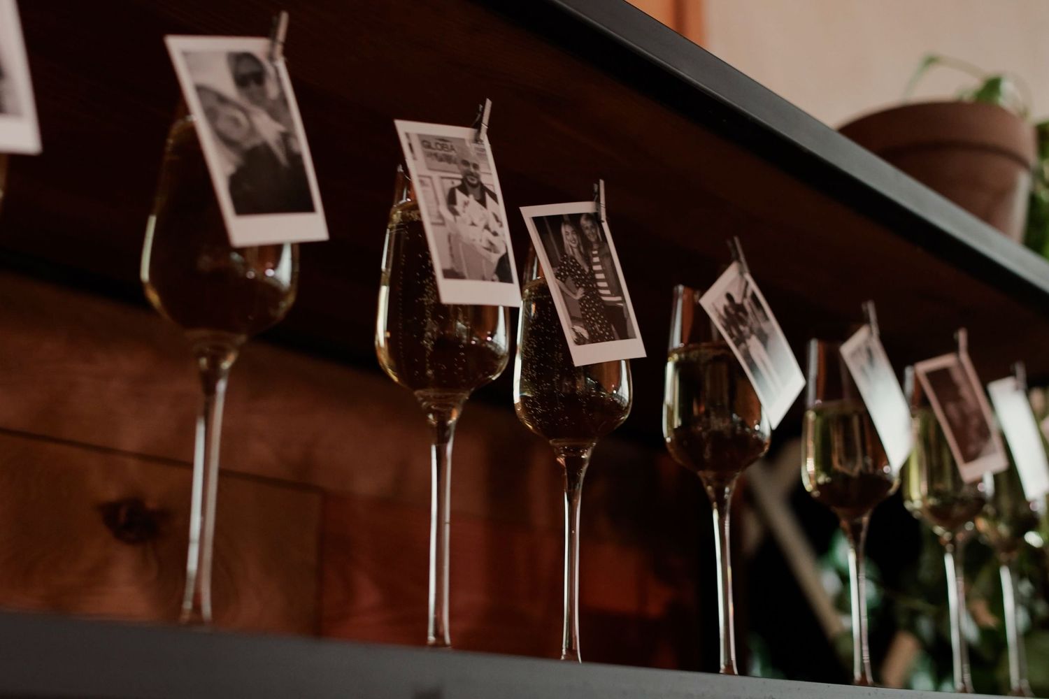 Row of elegant wine glasses on a shelf, each holding a black and white photo, creating a sophisticated decorative display.