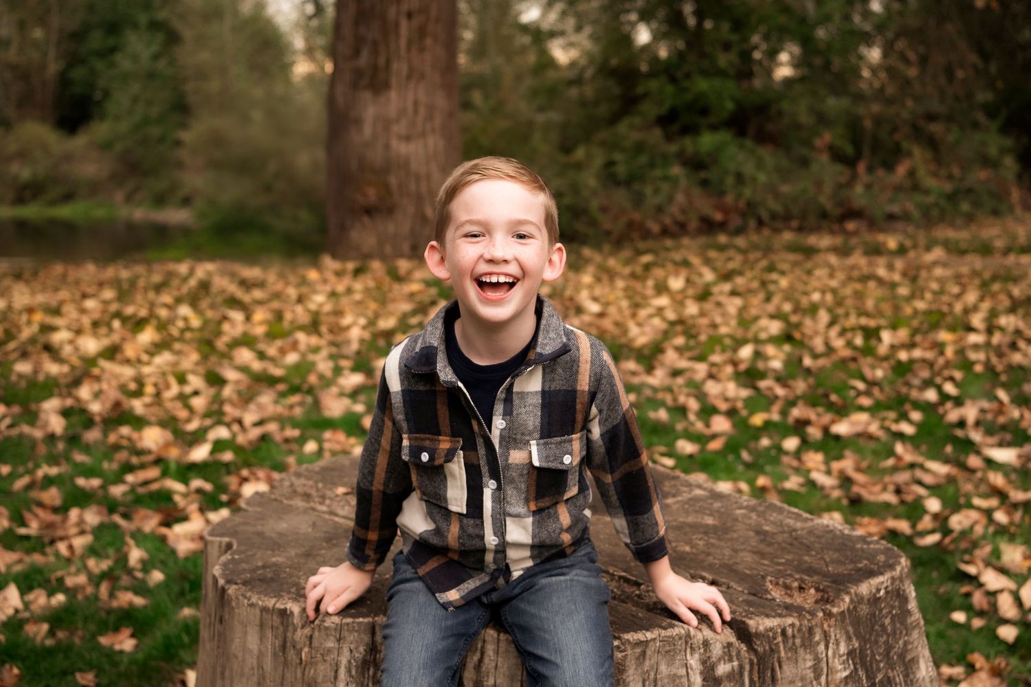 A child sits on a tree stump surrounded by fallen autumn leaves while wearing a plaid jacket and jeans.