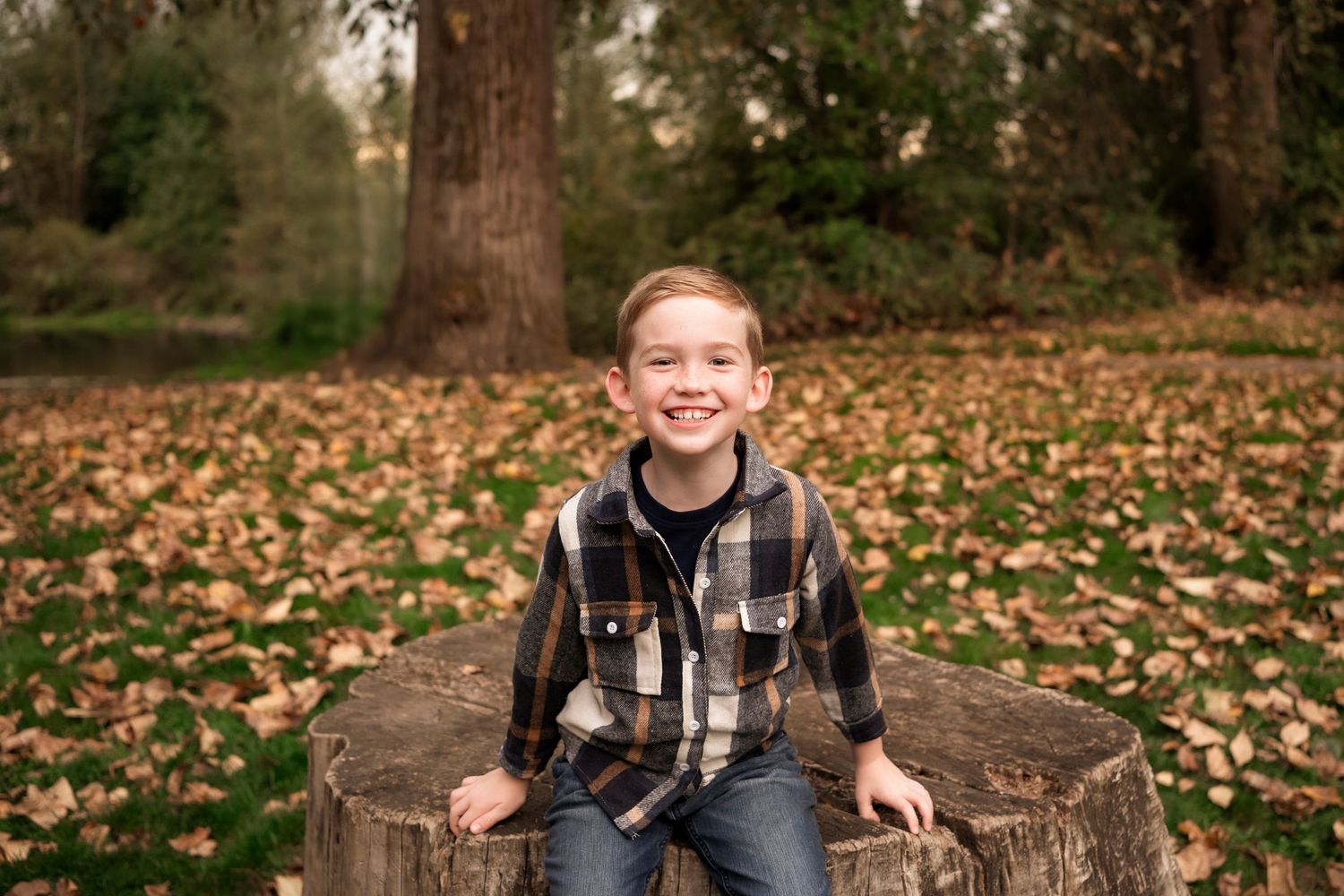 A joyful figure in a plaid shirt sits on a tree stump surrounded by fallen autumn leaves in a park setting.