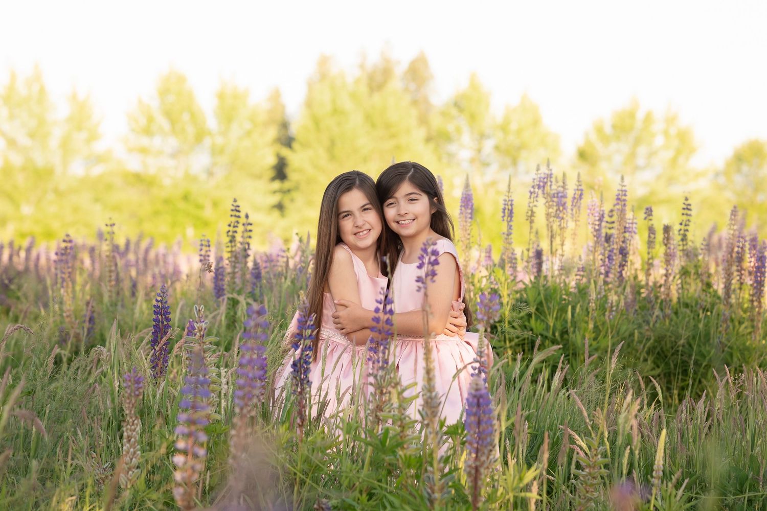 Two girls in pink dresses embrace among purple lupine flowers in a sunny field.