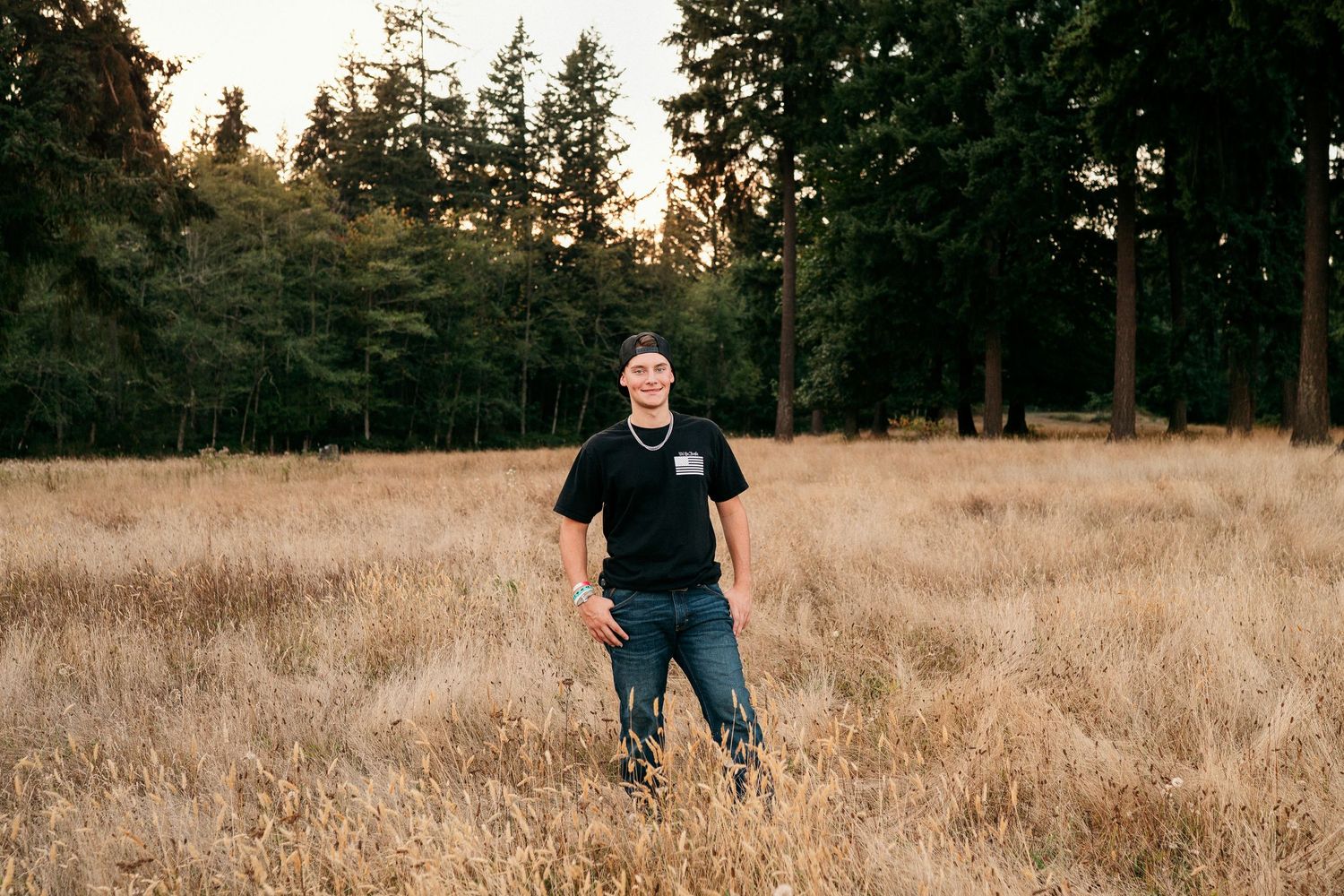 Golden field with scattered evergreen trees at sunset creating a serene rural landscape.