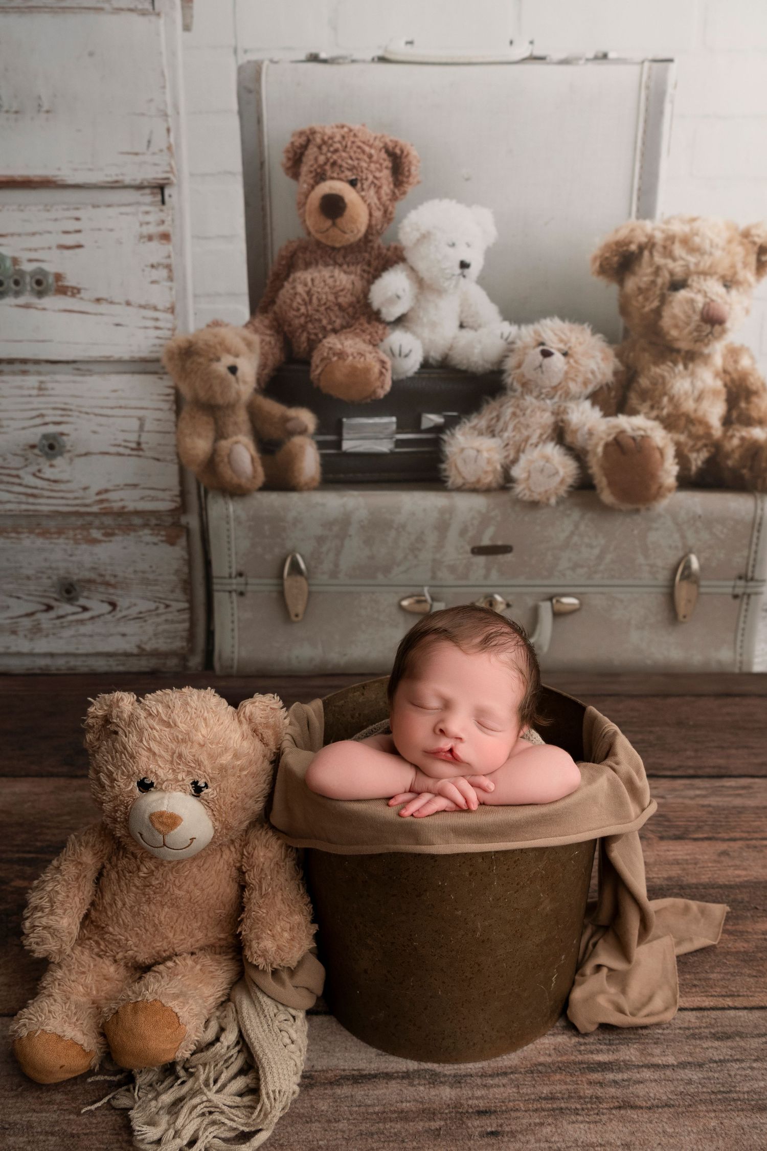 A series of teddy bears arranged on rustic wooden shelves with a sleeping newborn in a brown basket.