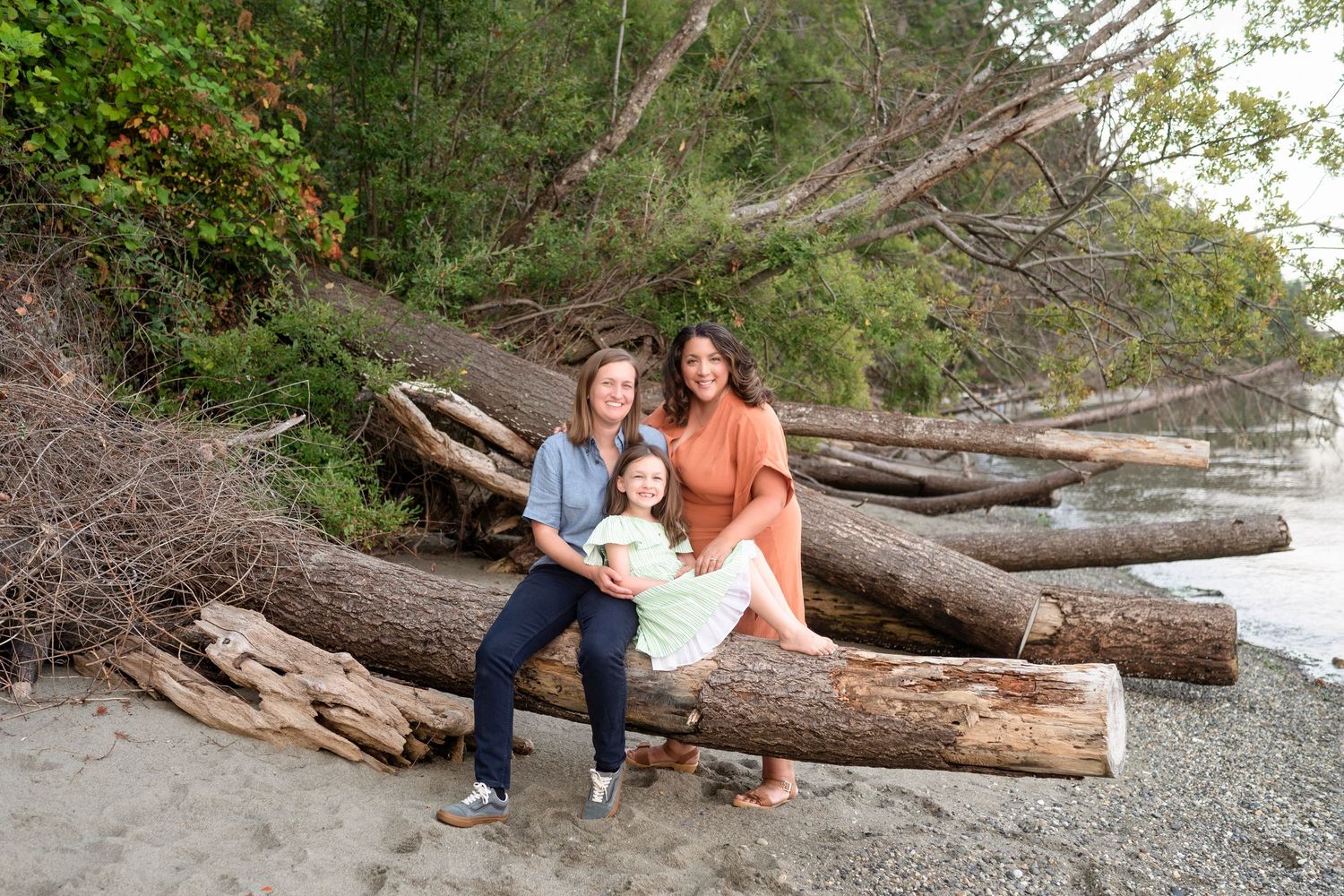 People sit on driftwood logs along a rocky beach shoreline surrounded by green trees.