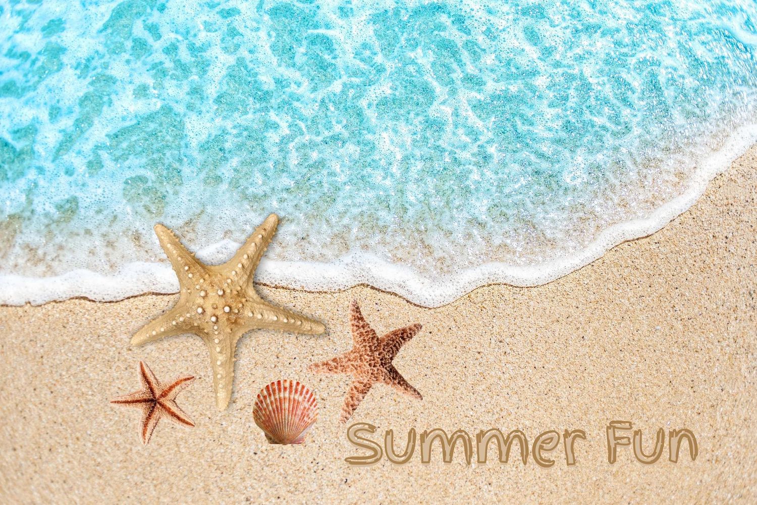 Starfish and seashells on sandy beach with blue ocean waves and Summer Fun text.