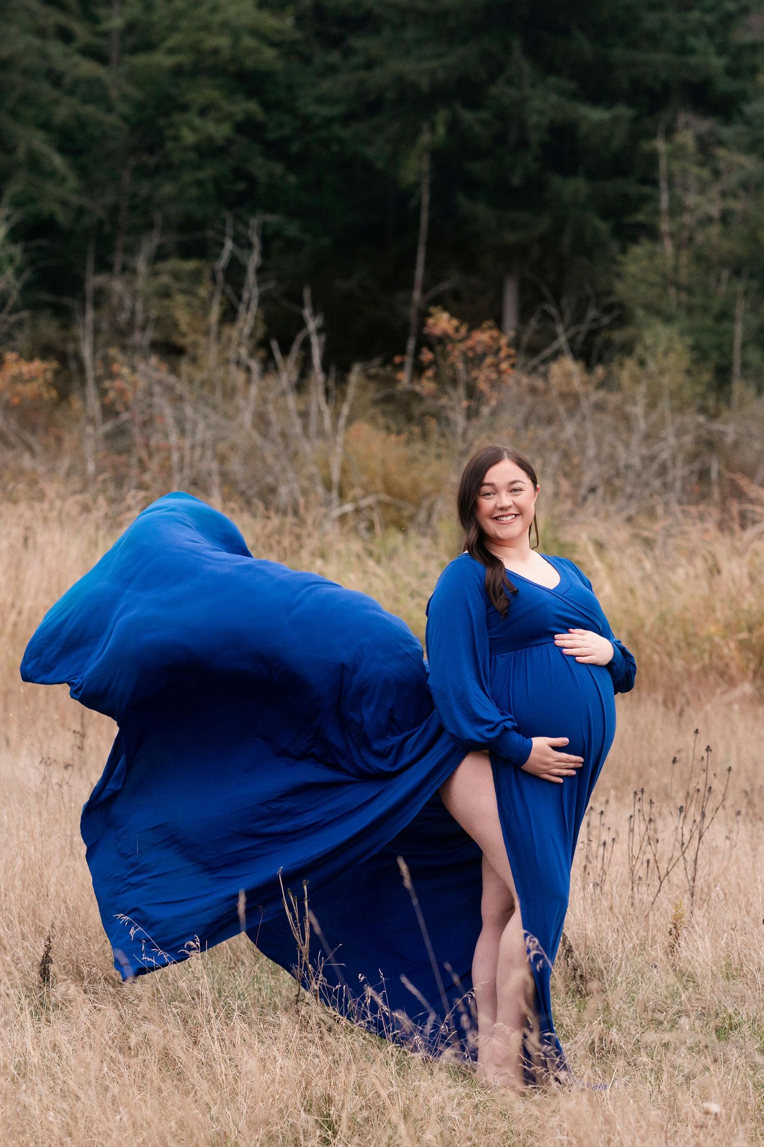 Pregnant woman in flowing royal blue maternity gown standing in golden field with evergreen forest backdrop.