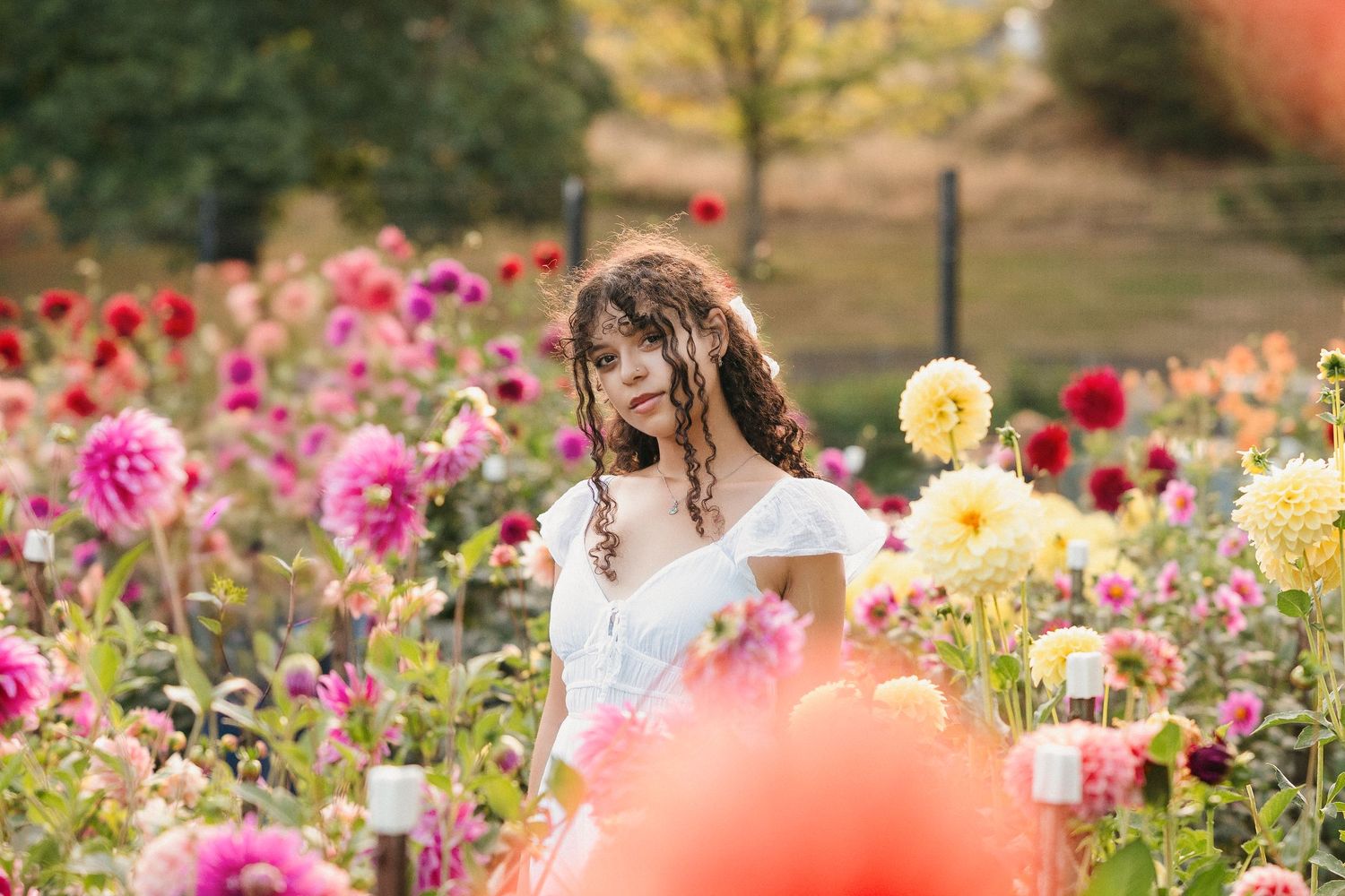 A person in a white dress stands among vibrant pink, red and yellow dahlia flowers in a garden setting.