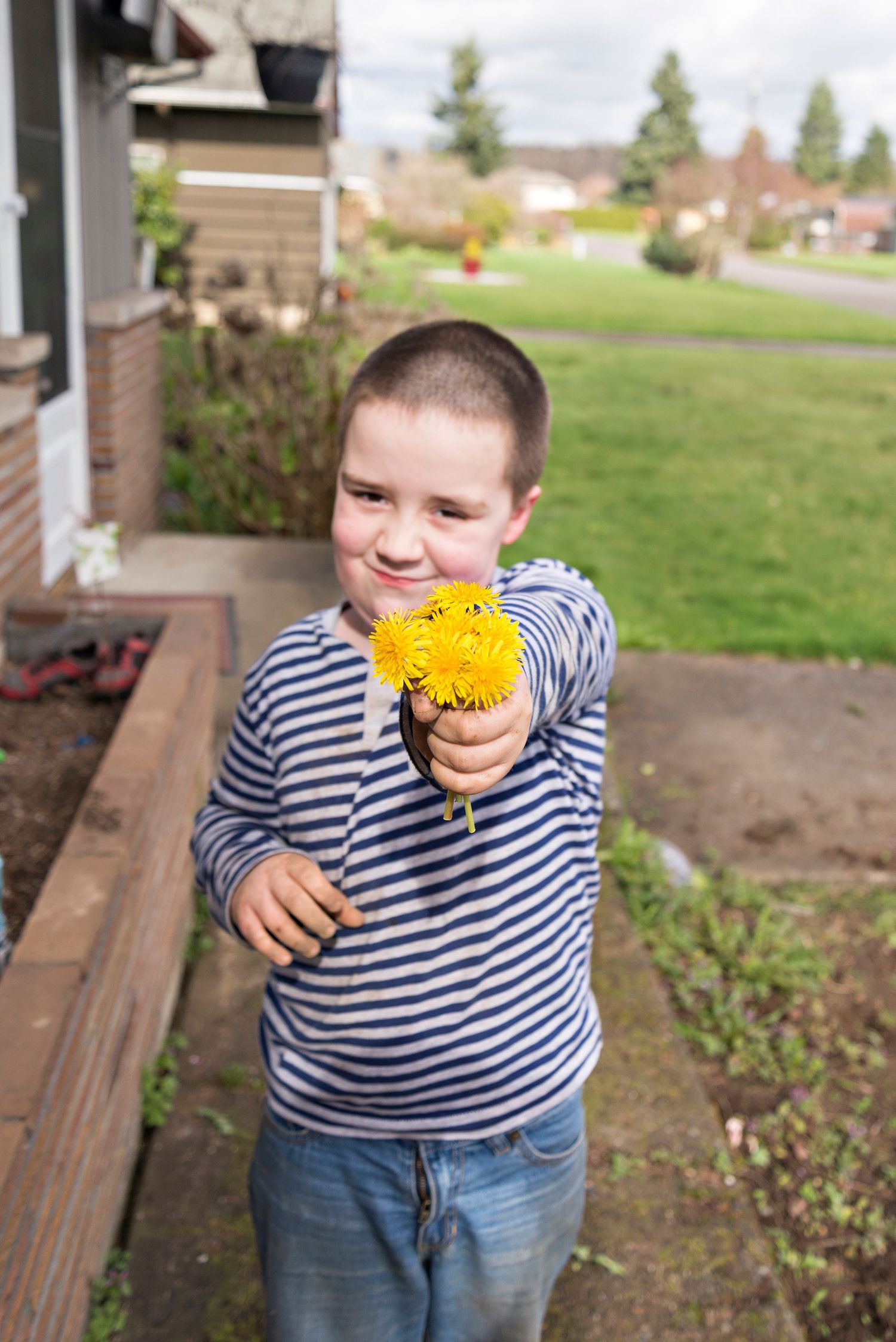 Young boy in striped shirt smiling while holding bright yellow dandelion flowers outdoors near a green lawn.
