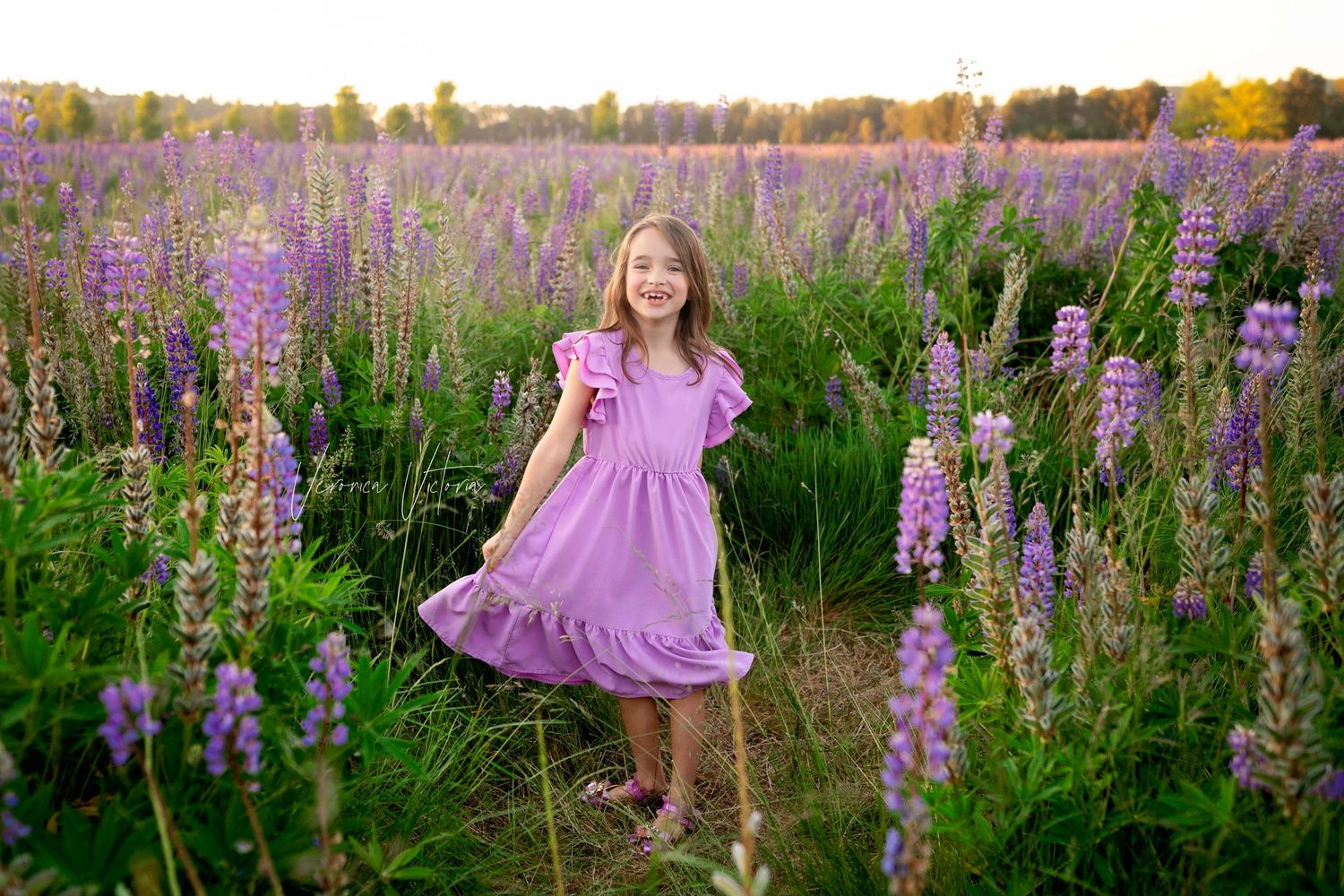 A smiling girl in a purple dress stands in a vibrant lupine flower field at golden hour.