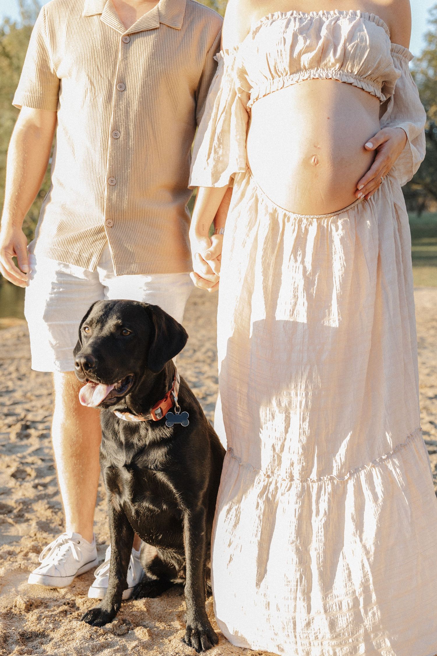 Torso of a Canberra couple with their dog showing a beautiful pregnant belly, during a maternity photoshoot in Canberra