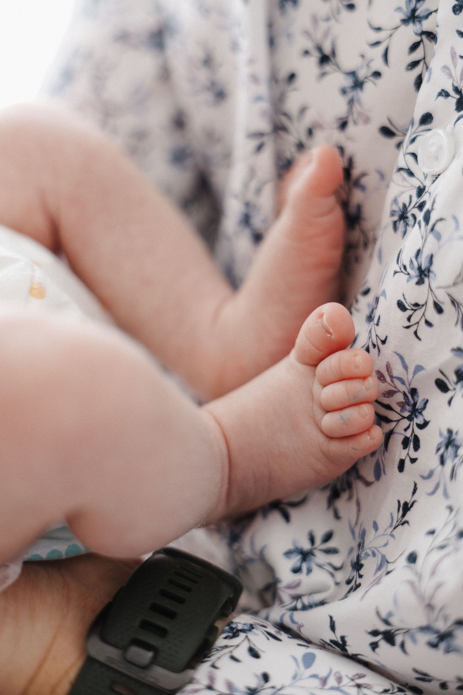 Baby feet photographed in Canberra studio