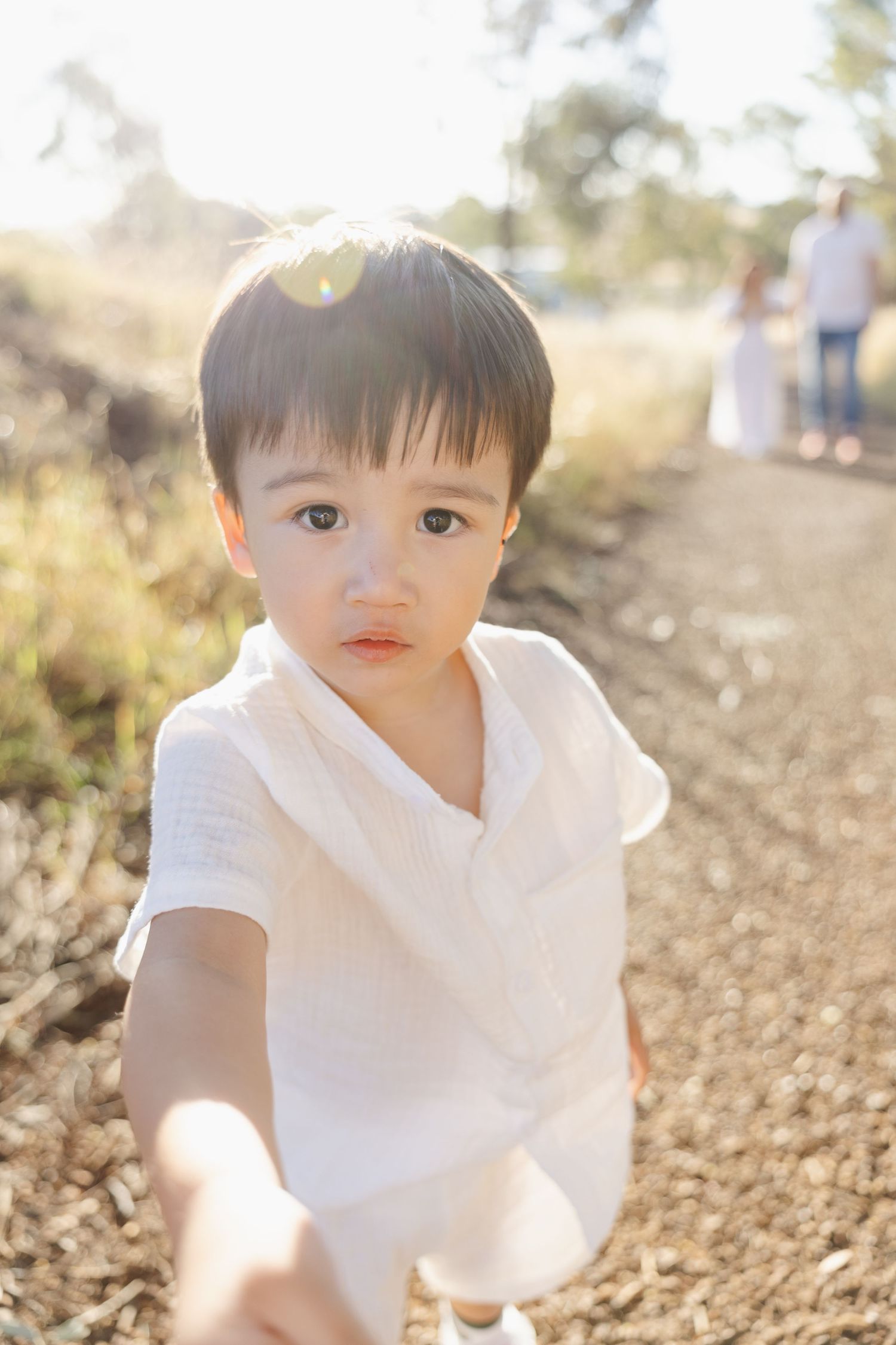 Boy hands photographer a flower while parents watch in the background of a Canberra family photoshoot