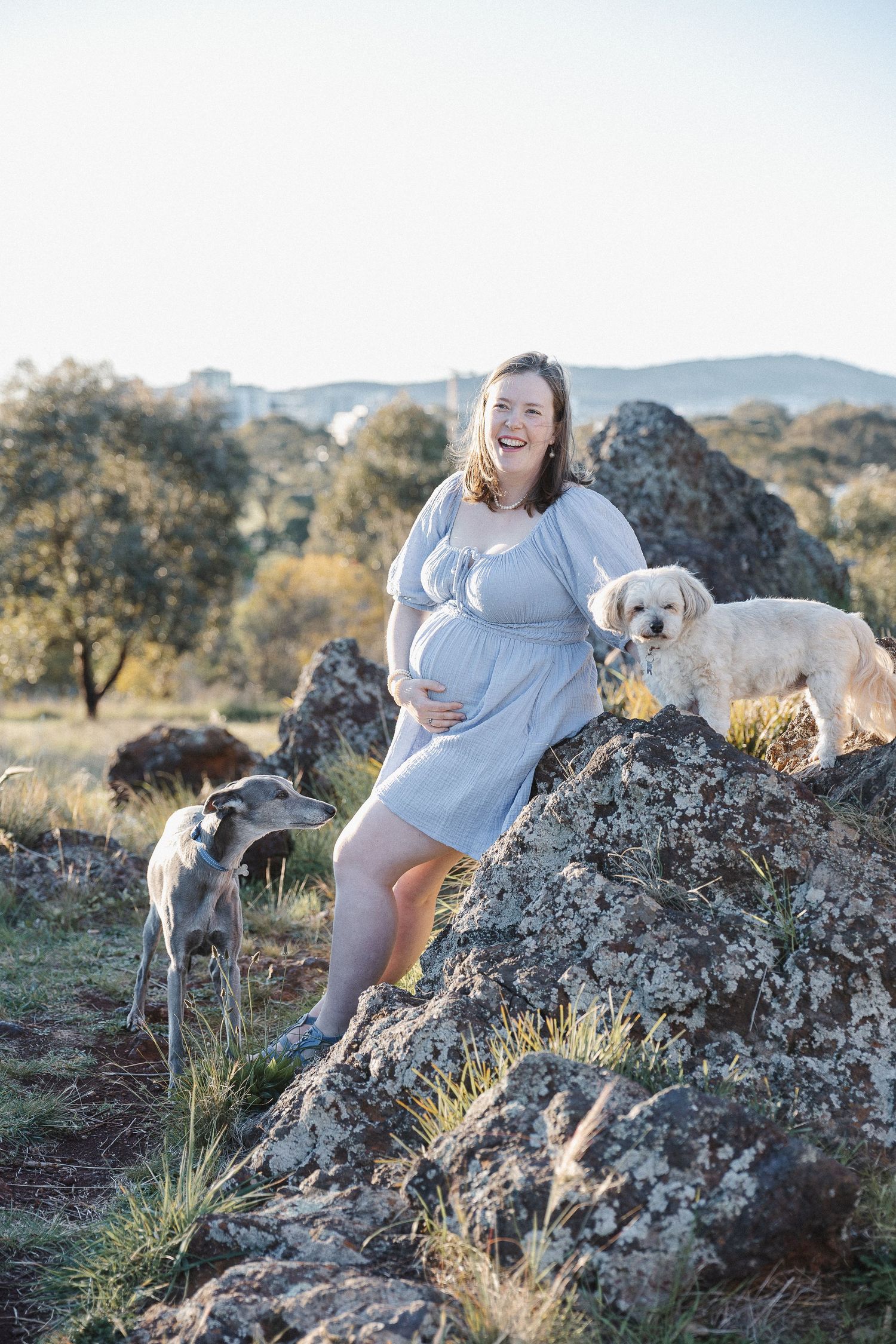 A pregnancy photo session outdoors with pet dogs in Canberra