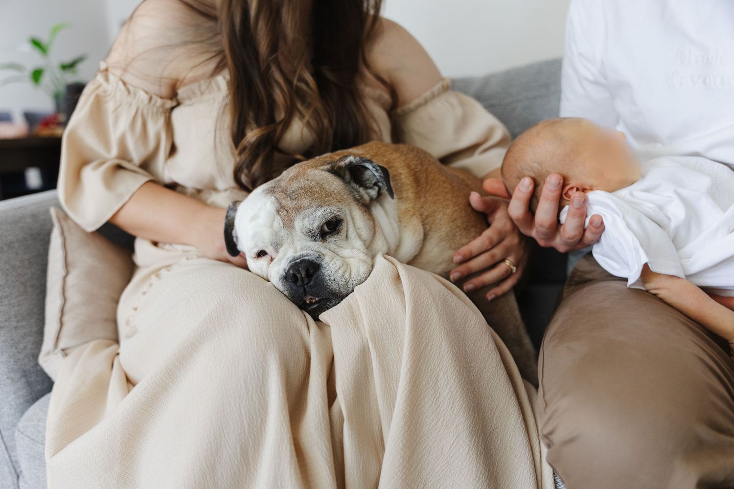 Woman snuggles dog with baby in newborn photoshoot Canberra