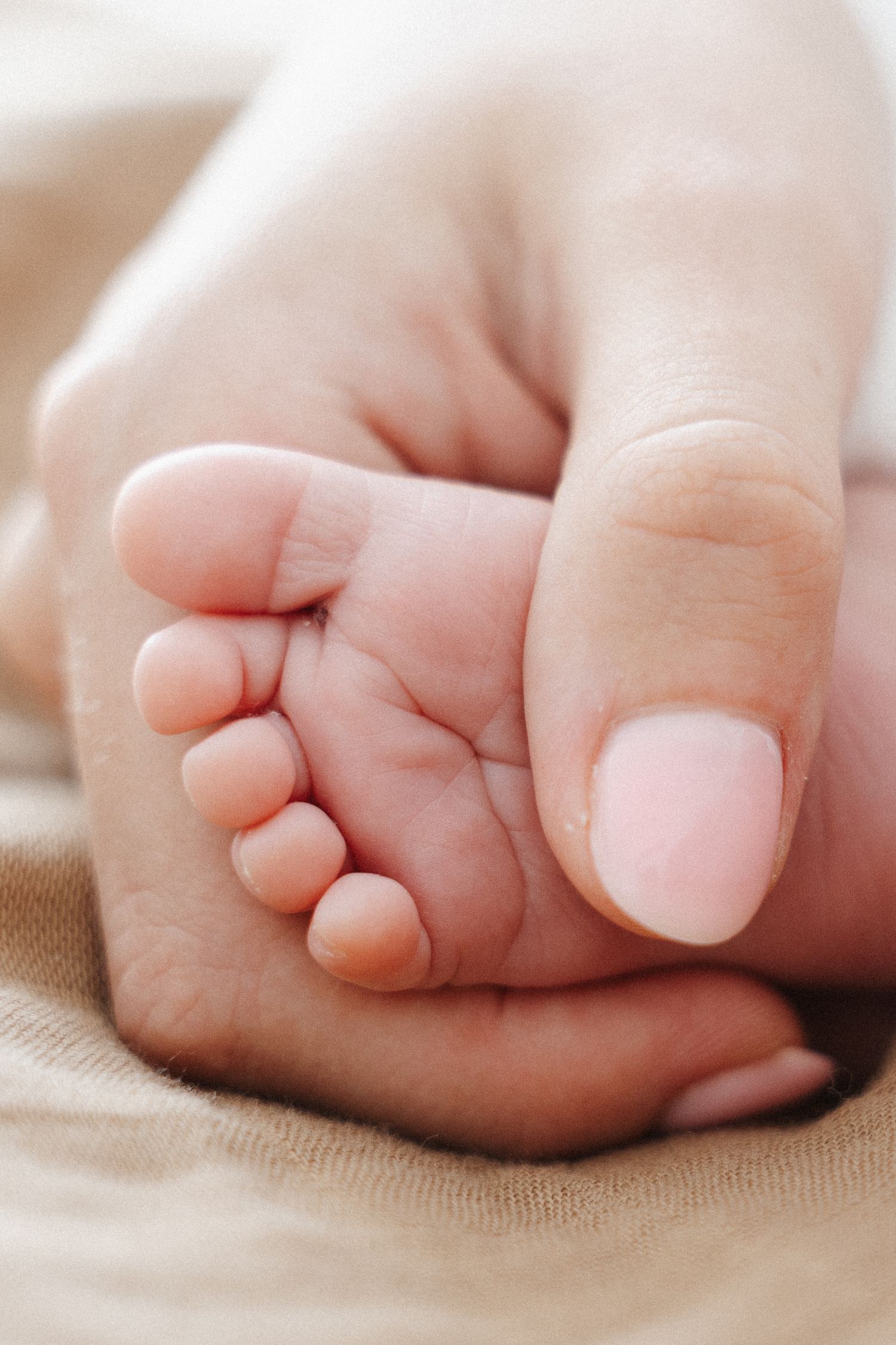 Little foot of newborn baby in Canberra
