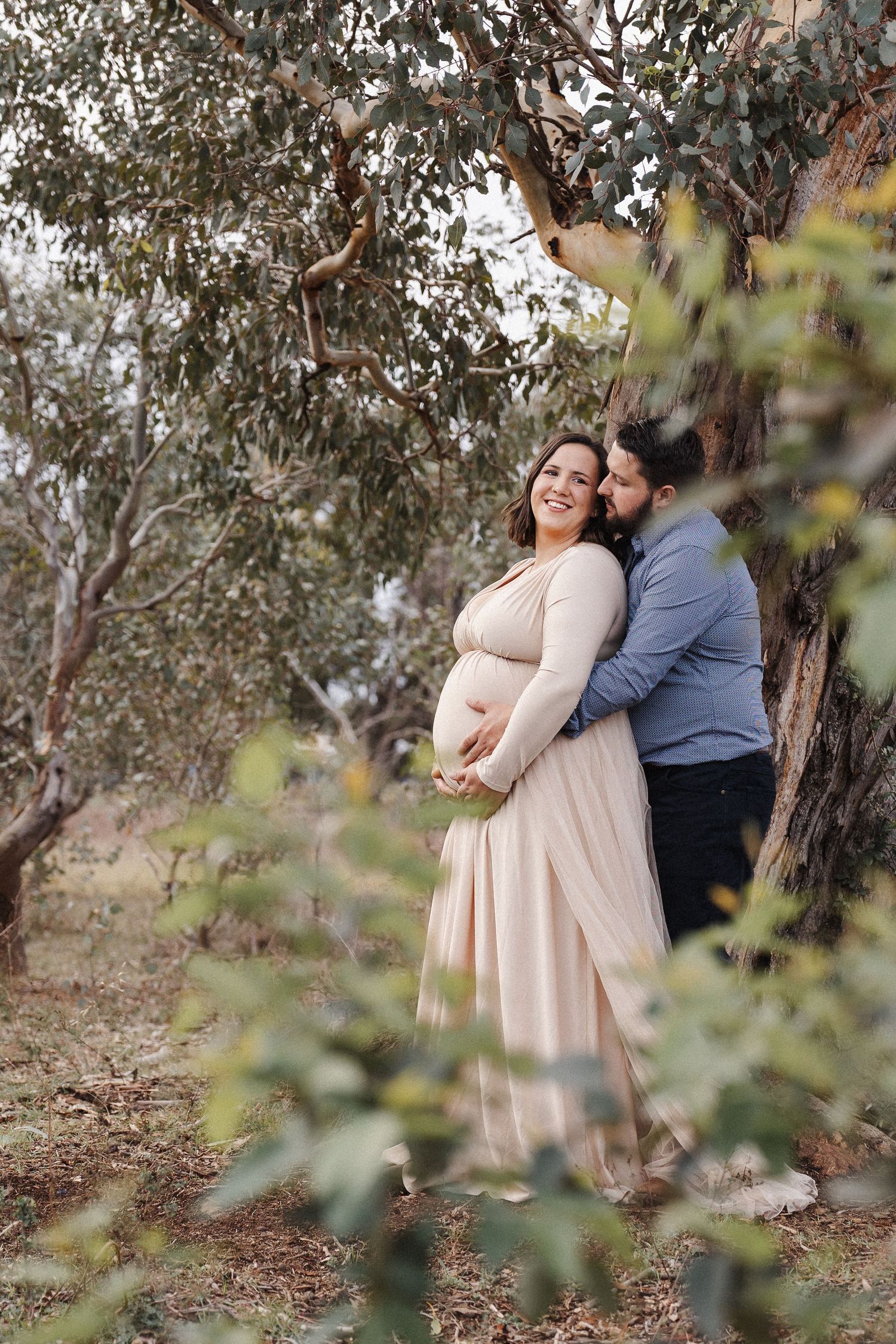 pregnancy photoshoot in Canberra with couple cuddling under a tree