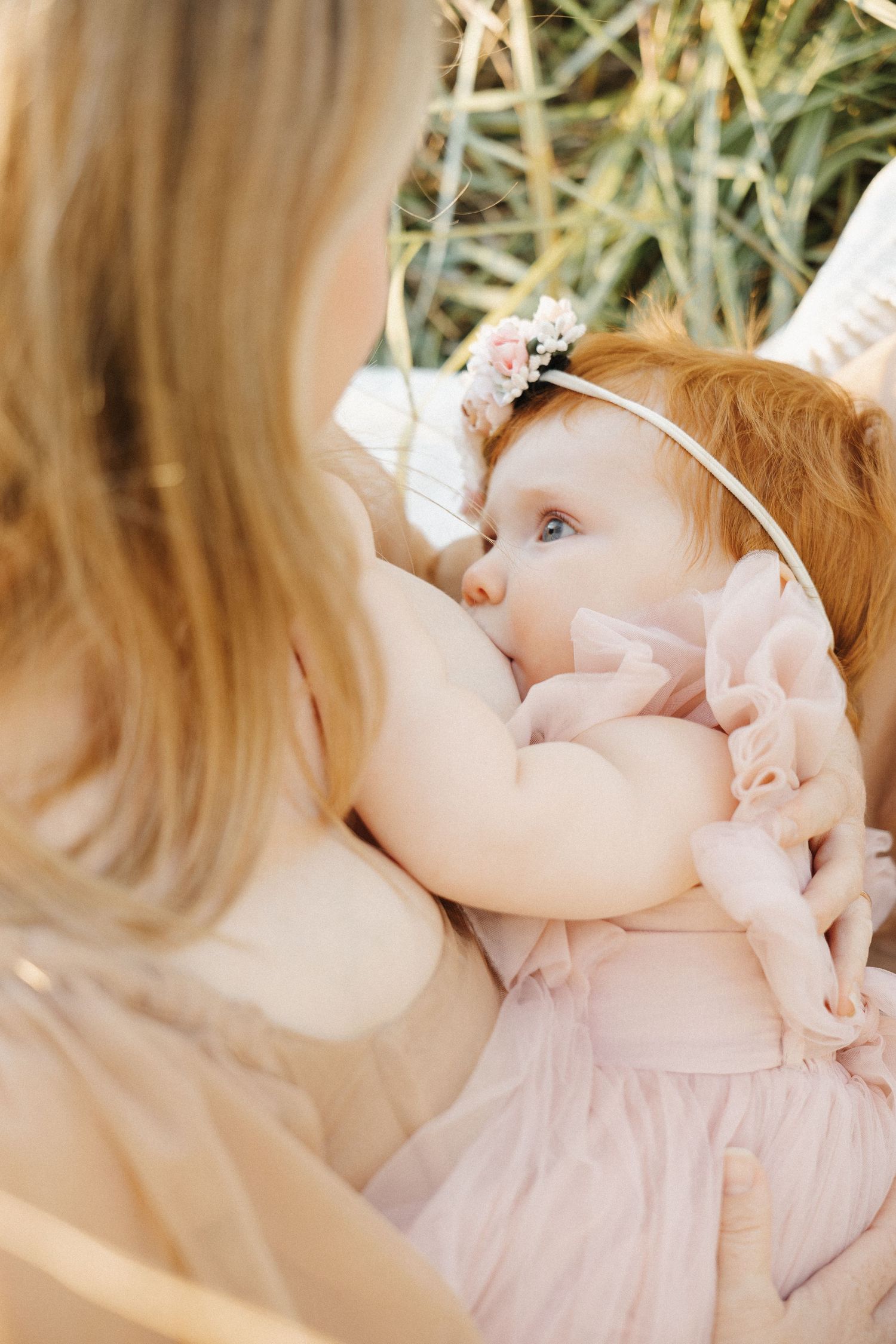 Breastfeeding photoshoot in Canberra sunset for one year old milestone