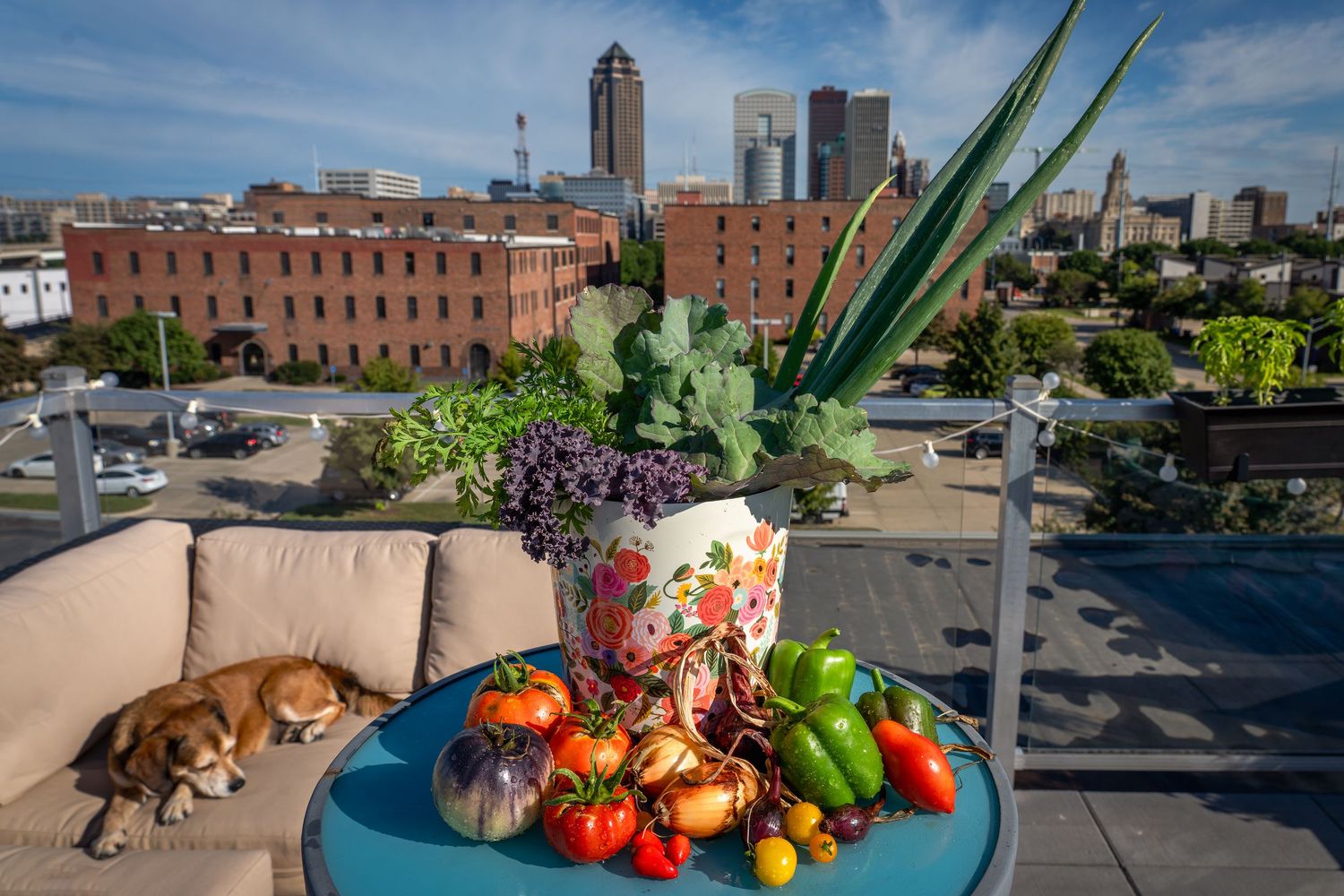 Rooftop gardens are becoming increasingly popular in downtown Des Moines. Shelby at Iowa Family Gardens is a garden miracle worker.