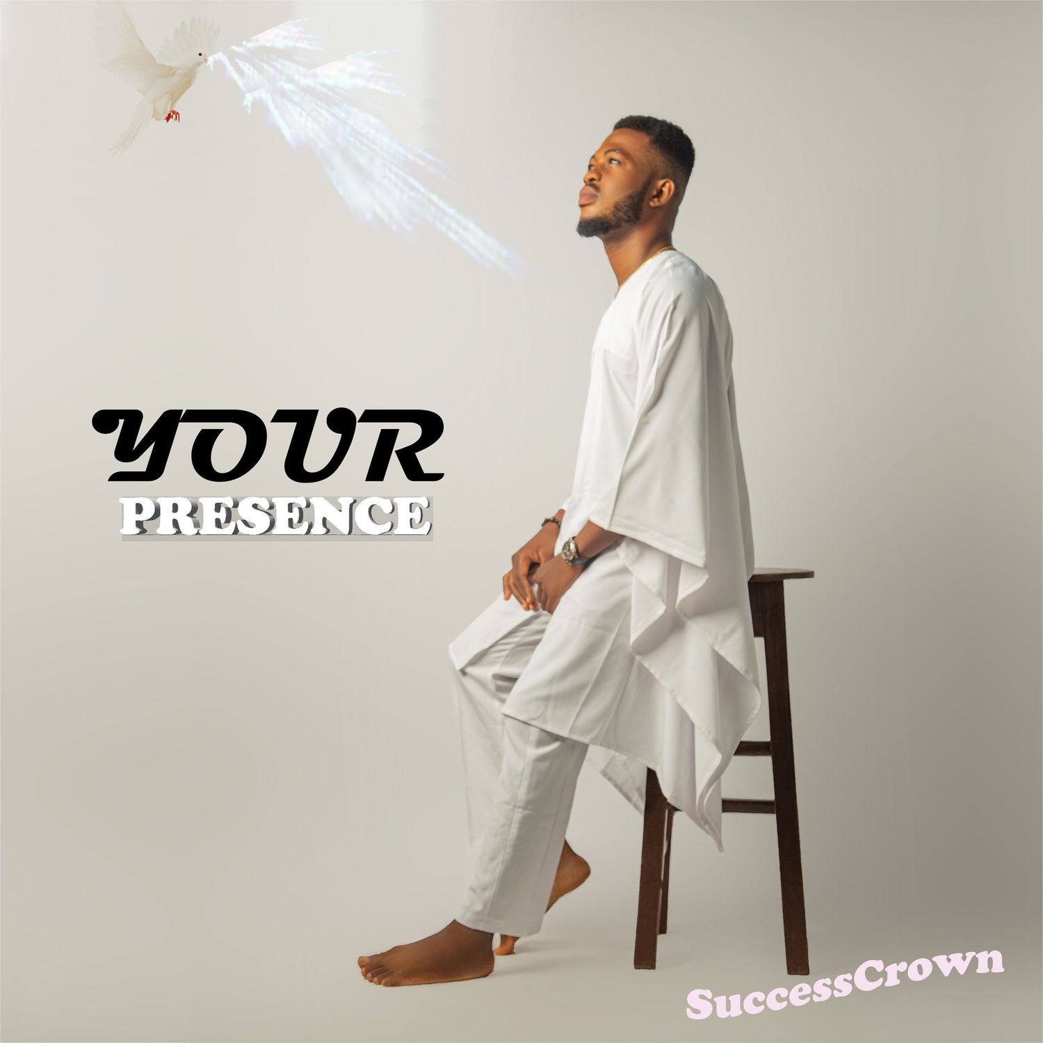 Cover art for successcrown.