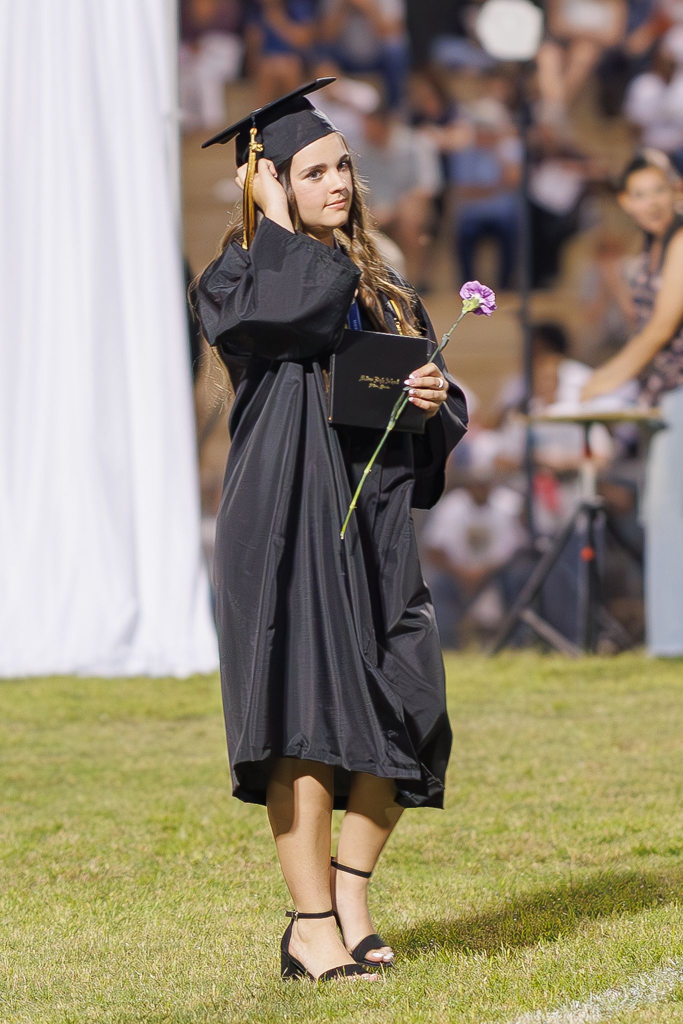 Graduate in traditional black cap and gown holds purple flower during commencement ceremony.