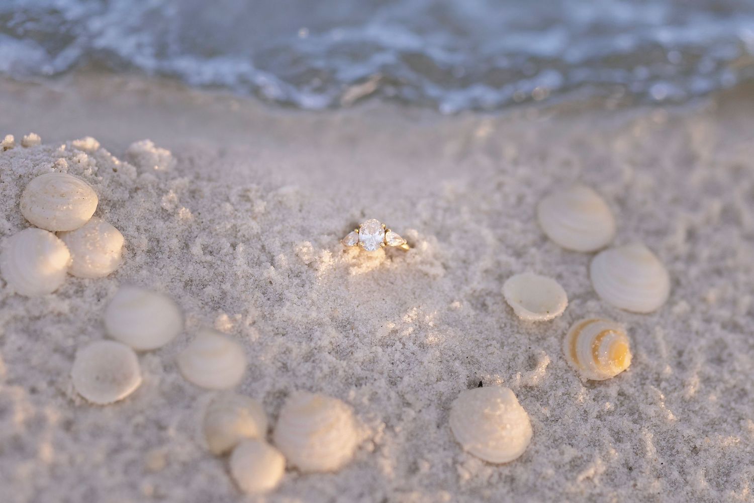 White seashells scattered on sandy beach with gentle ocean waves washing ashore in warm golden light.