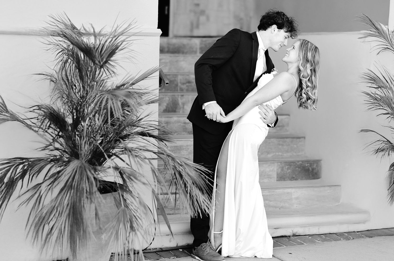 A series of artistic black and white photographs showing figures next to palm fronds and decorative plants on steps.