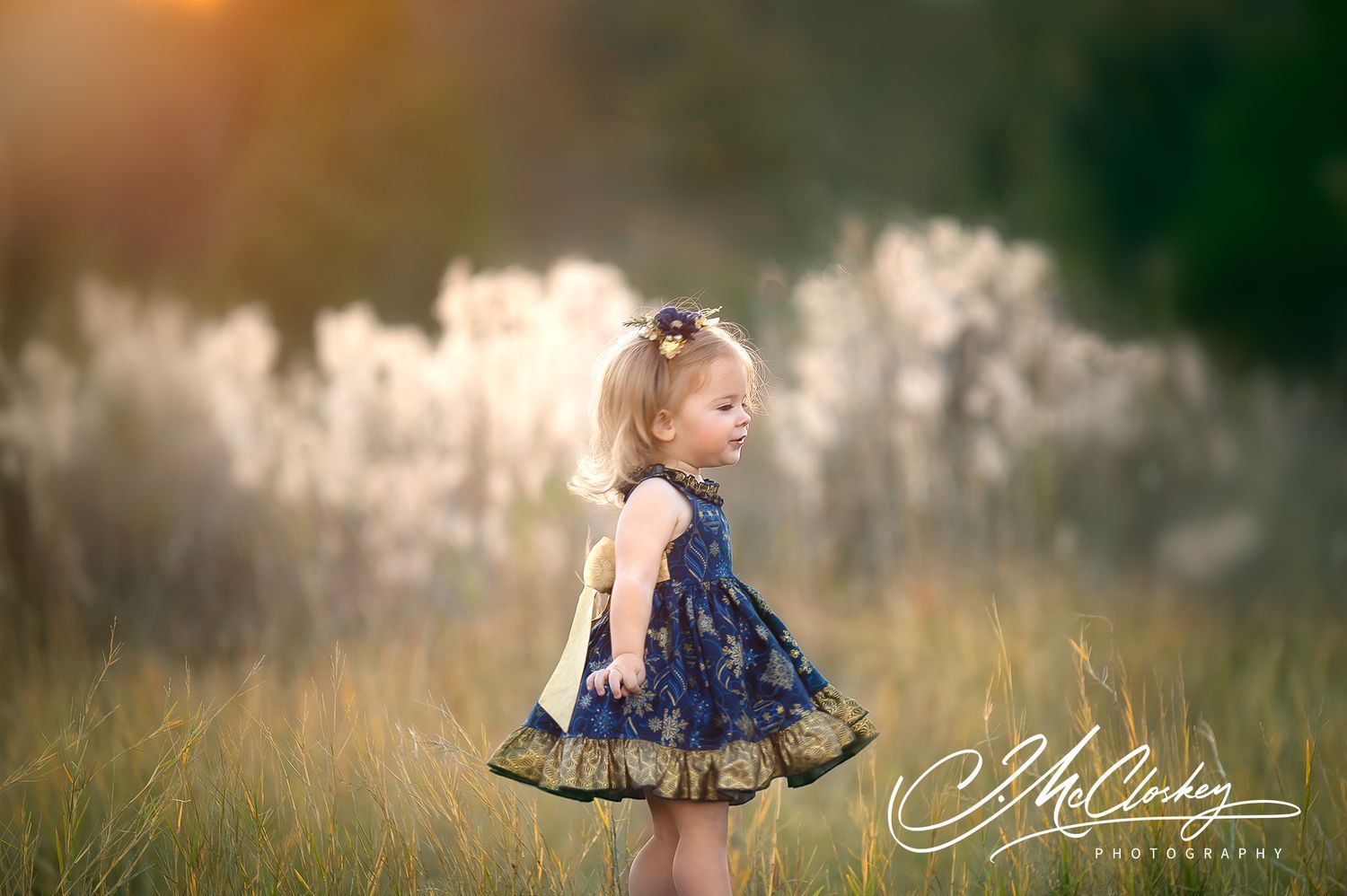 A panoramic collage showing people and wildlife in a natural outdoor setting during golden hour lighting.
