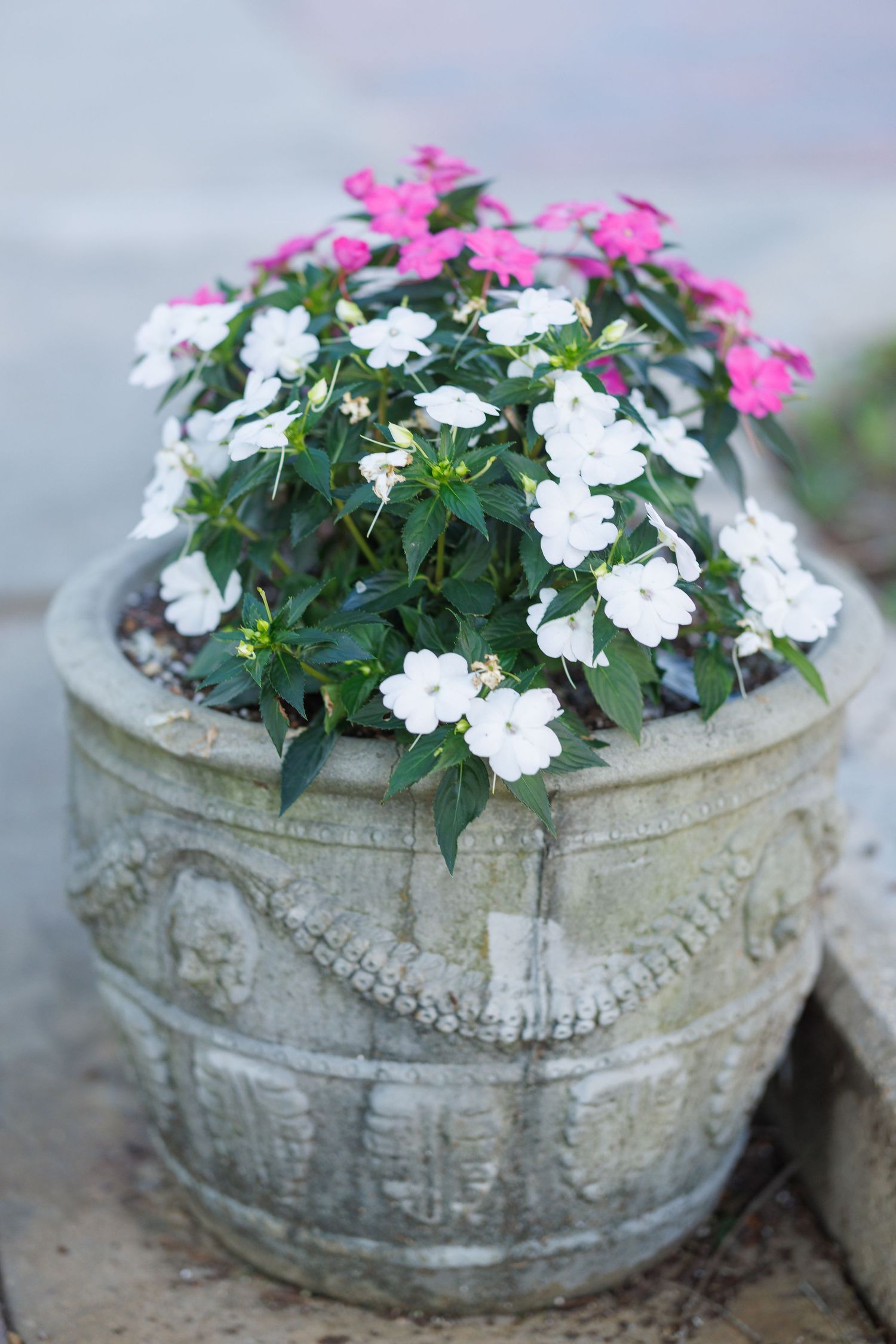 Stone planter filled with pink and white flowers creating a decorative garden display.