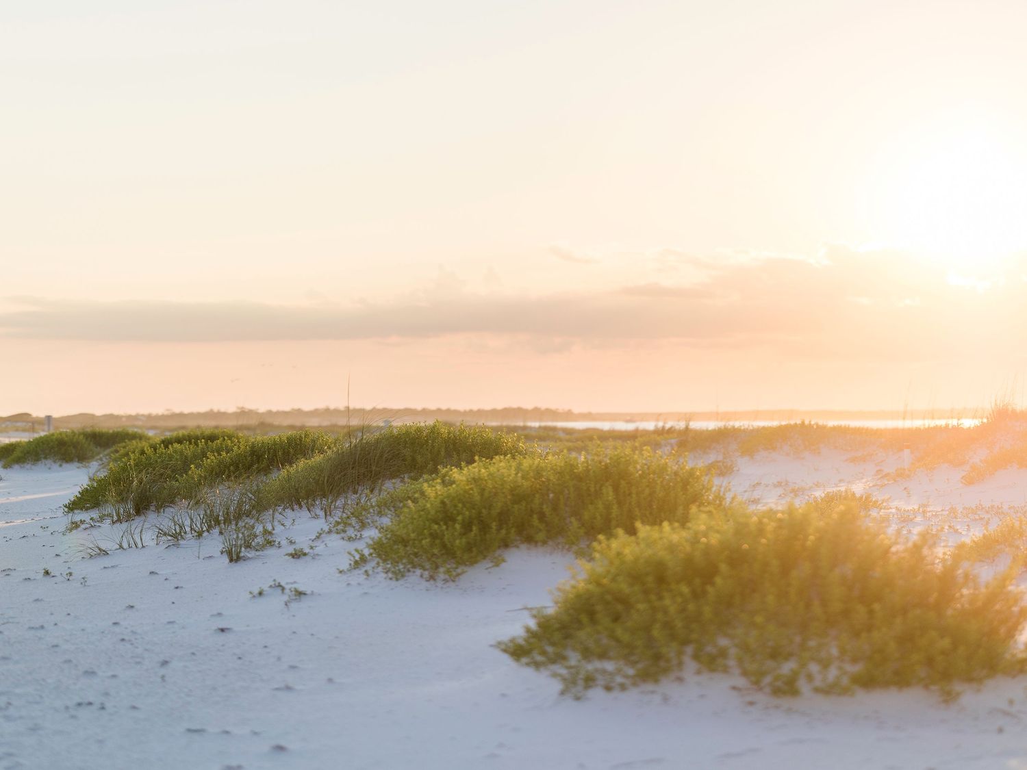 Scenic sunset over a beach with sea grass and sand dunes along the shoreline at golden hour.