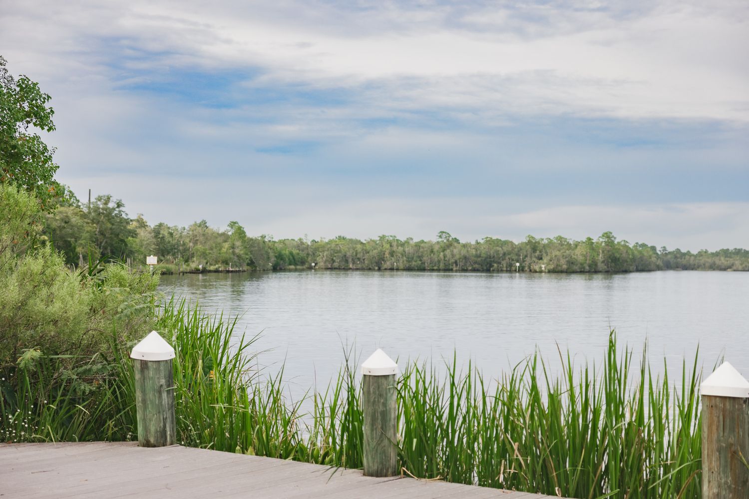 Serene waterfront view with lush green trees, tall grass, and wooden dock pilings under a partly cloudy sky.