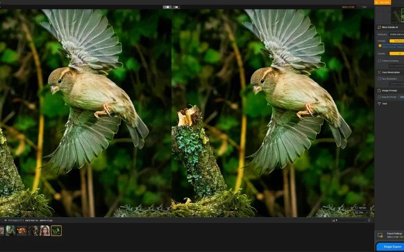 Bird photography editing interface showing flying birds with green natural background.