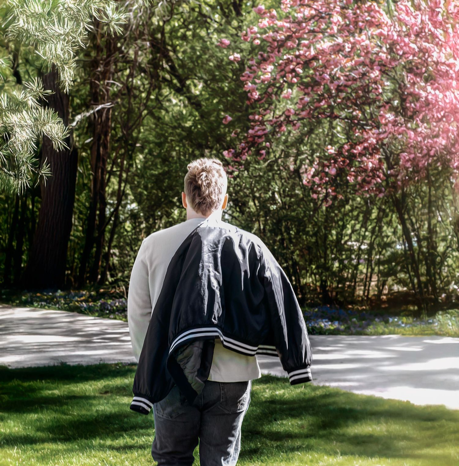 Back view of person carrying varsity jacket walking along path with cherry blossoms.
