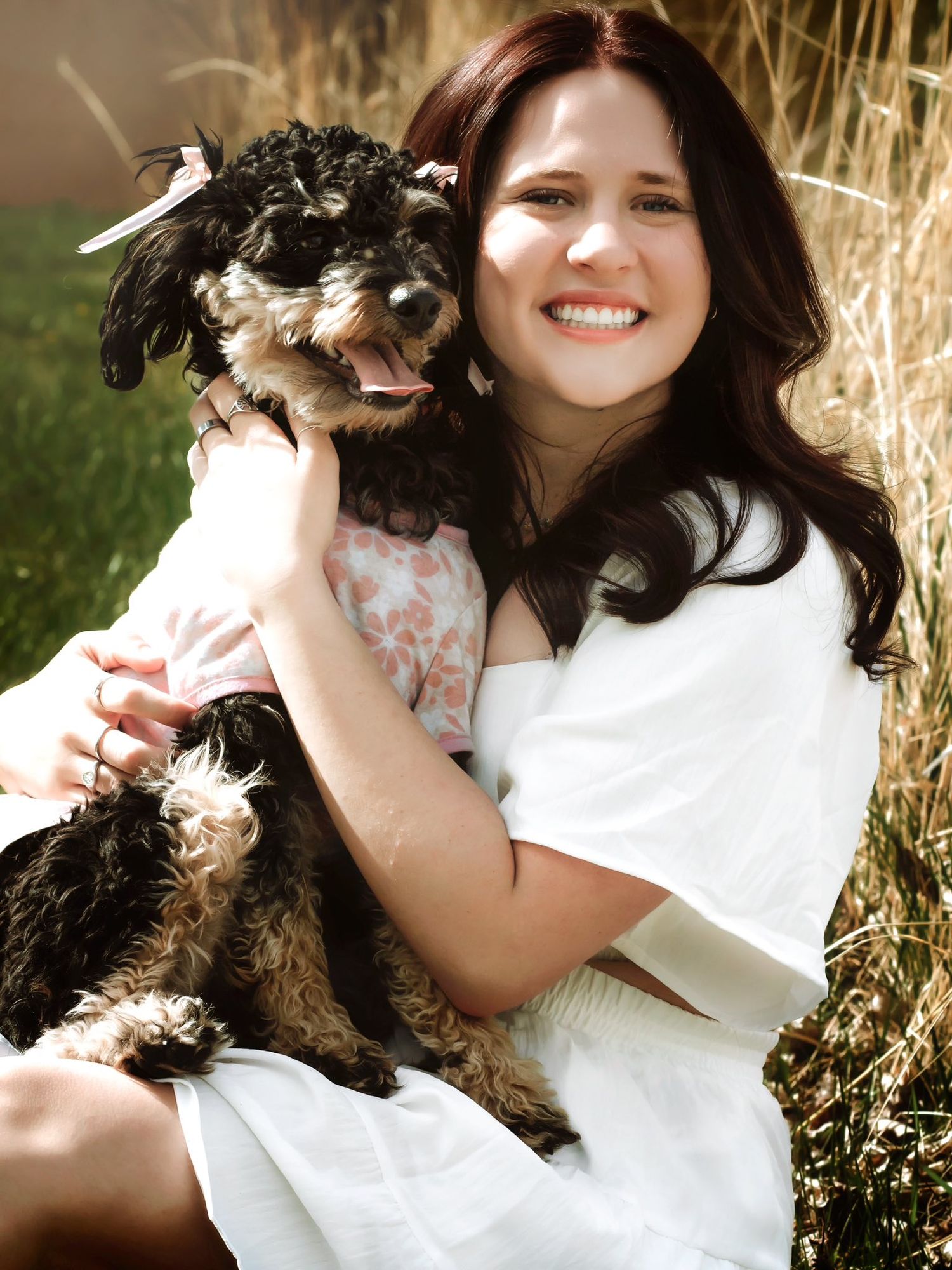 Heartwarming portraits with a small black dog against golden dried grass background.