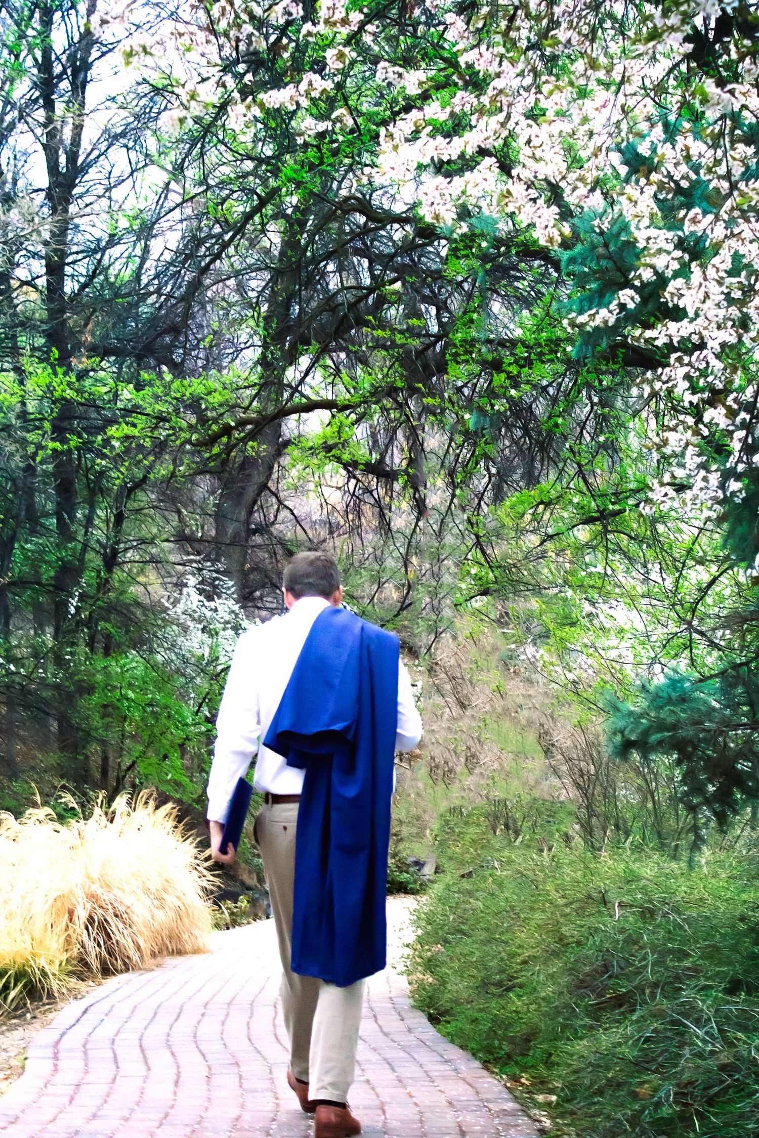 Graduate in blue cap and gown walks along a winding garden path with white blossoms overhead.