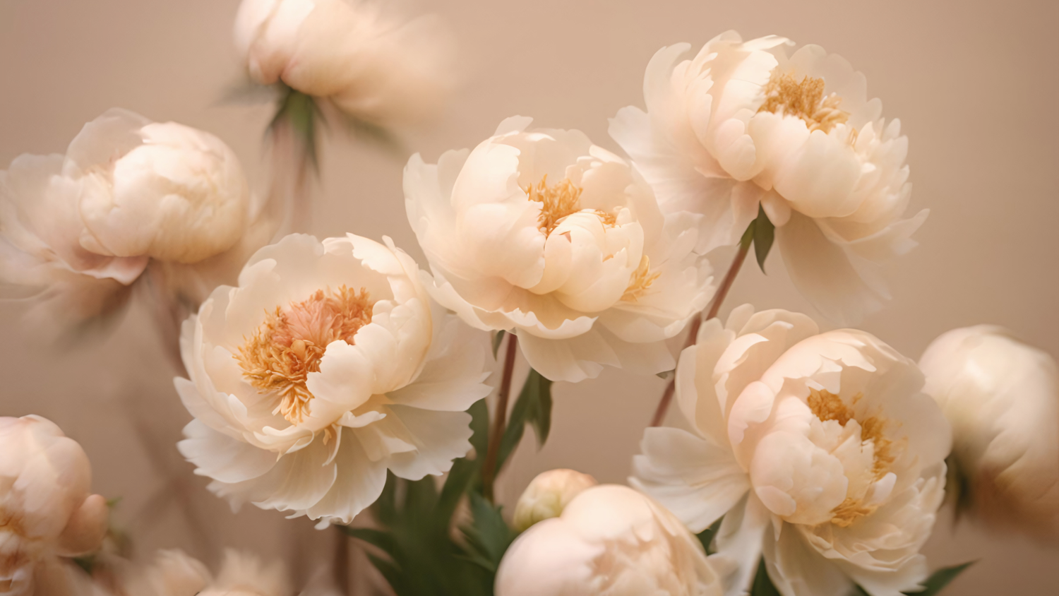 Ethereal peach roses creating a romantic horizontal background pattern.