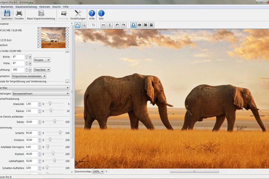 Photo editing interface showing panoramic image of elephants walking through savanna grass.